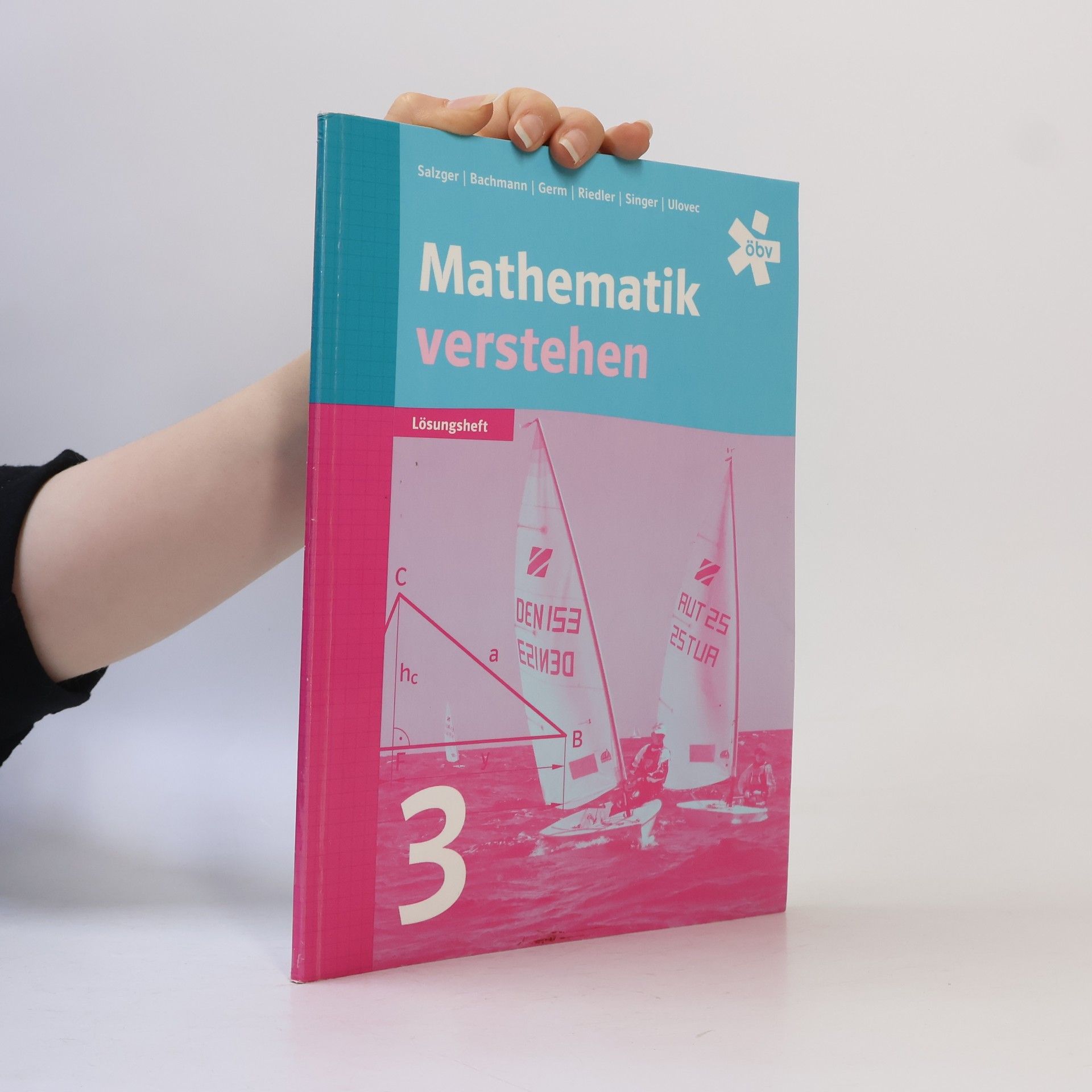 Autorenkollektiv Mathematik verstehen