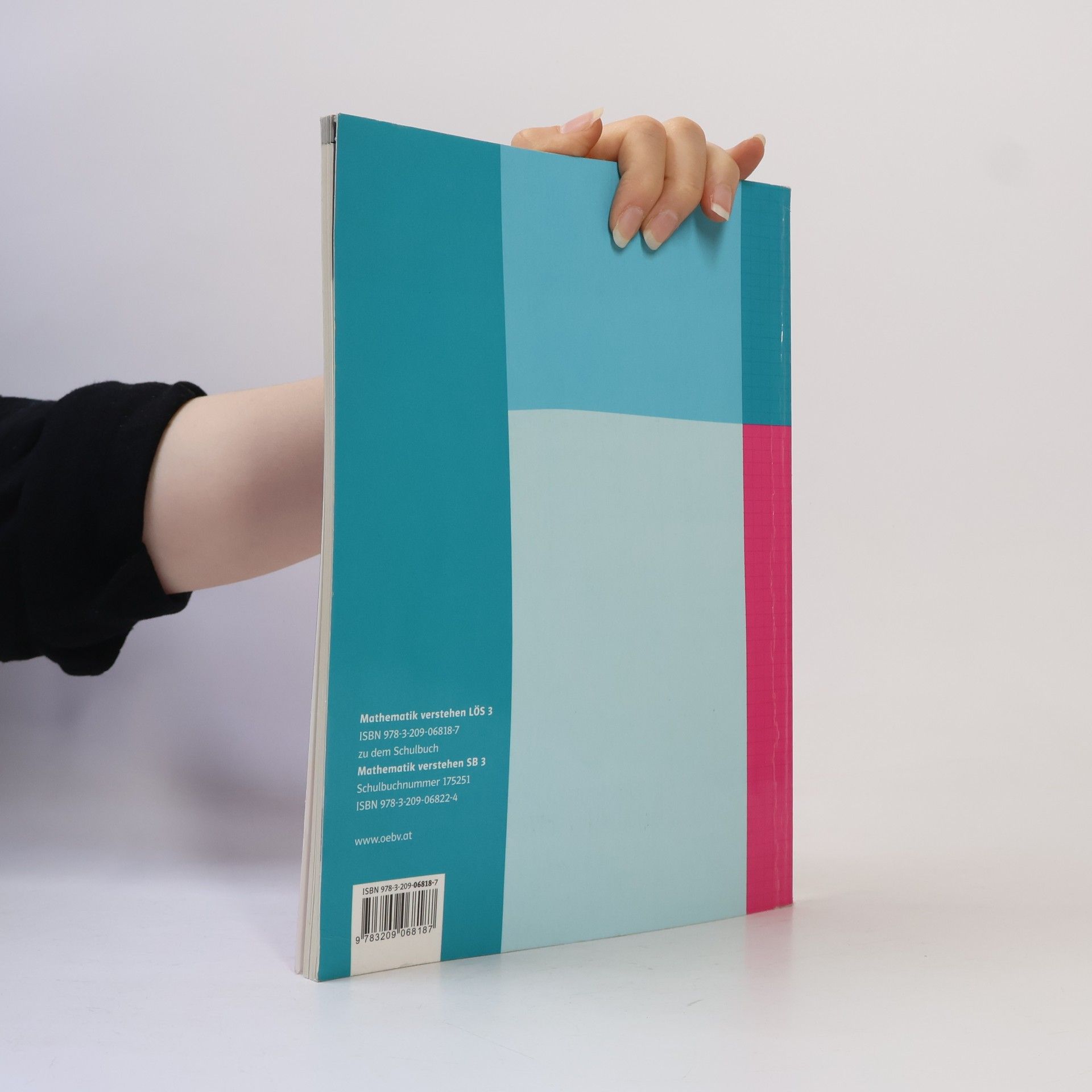 Autorenkollektiv Mathematik verstehen