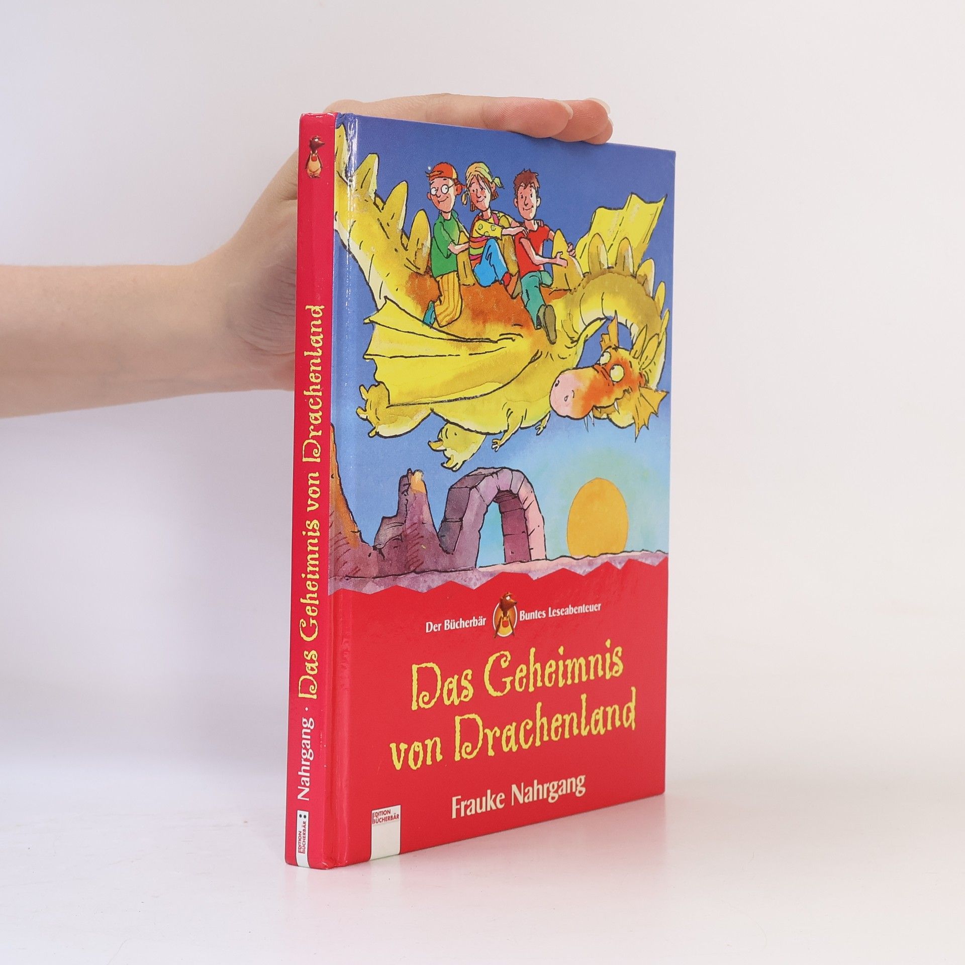 Frauke Nahrgang Das Geheimnis vom Drachenland
