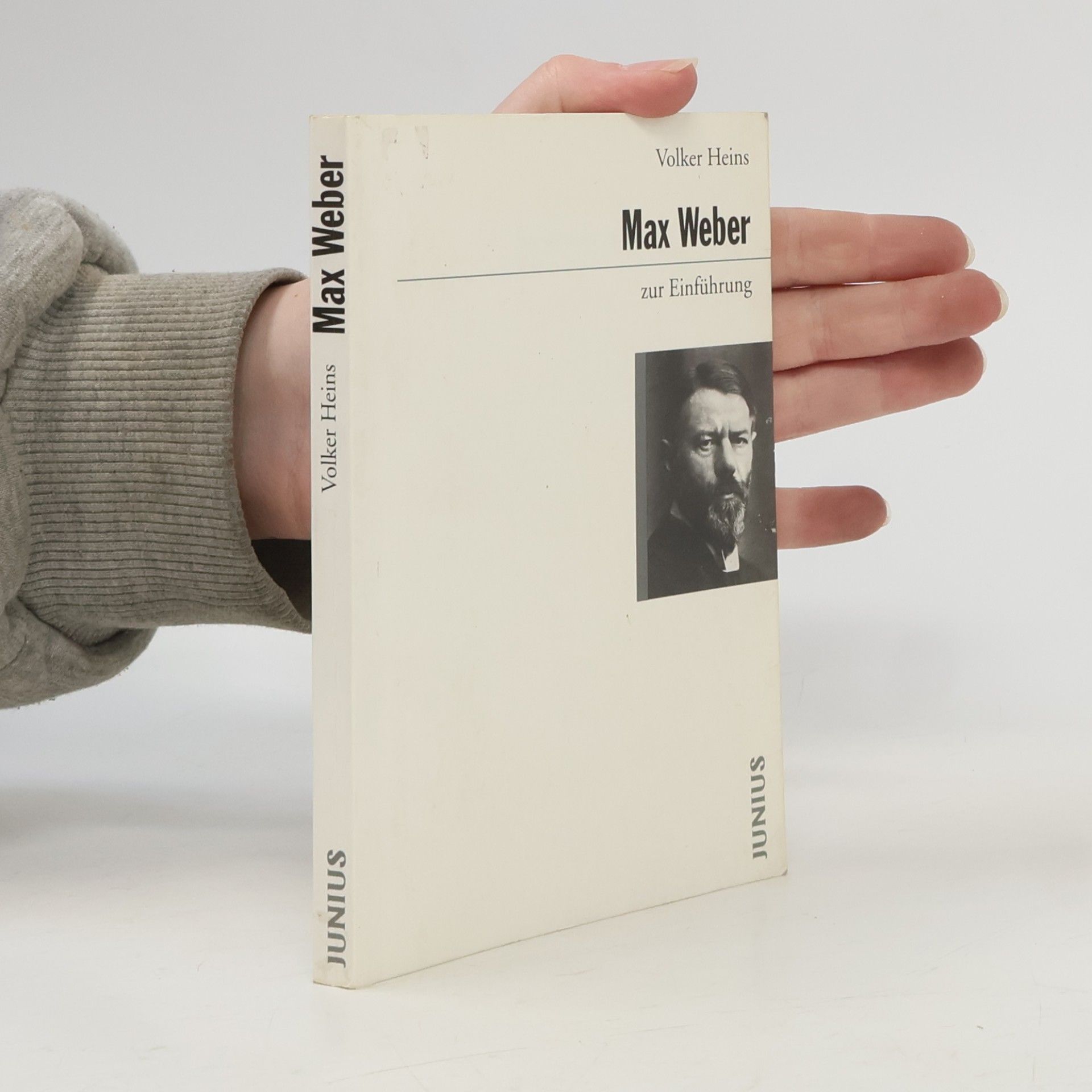 Volker Heins Max Weber zur Einführung