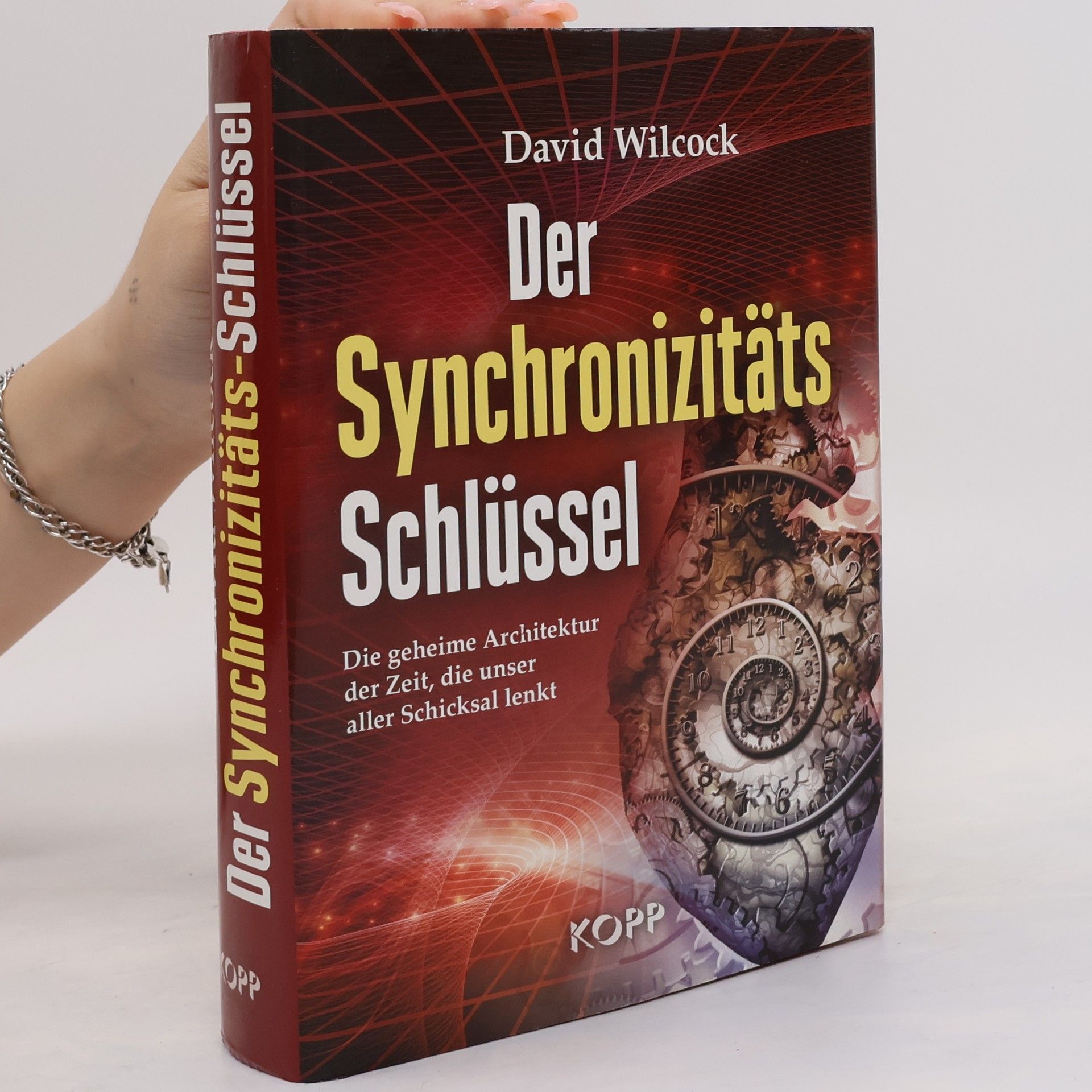 David Wilcock Der Synchronizitäts-Schlüssel