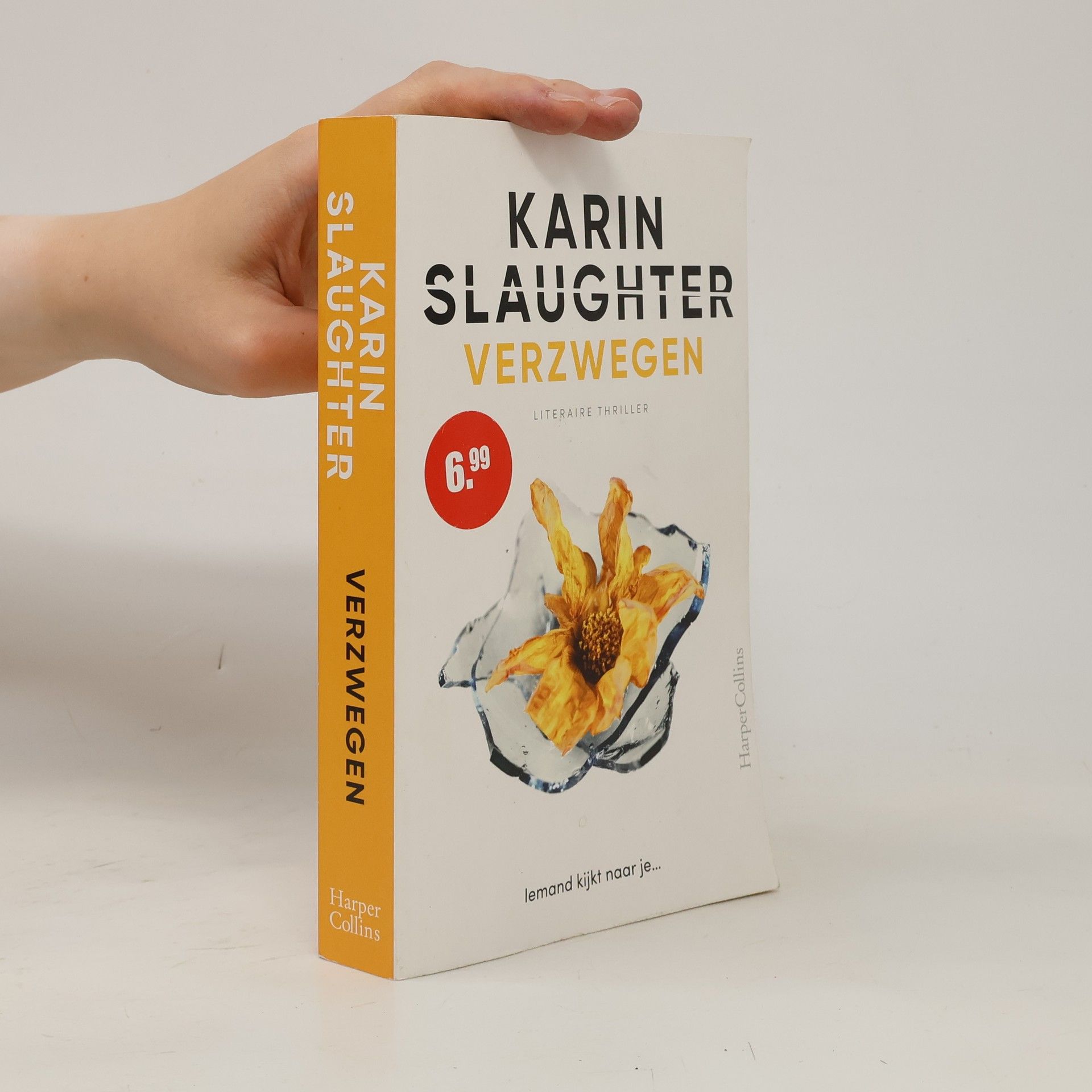 Karin Slaughter Verzwegen
