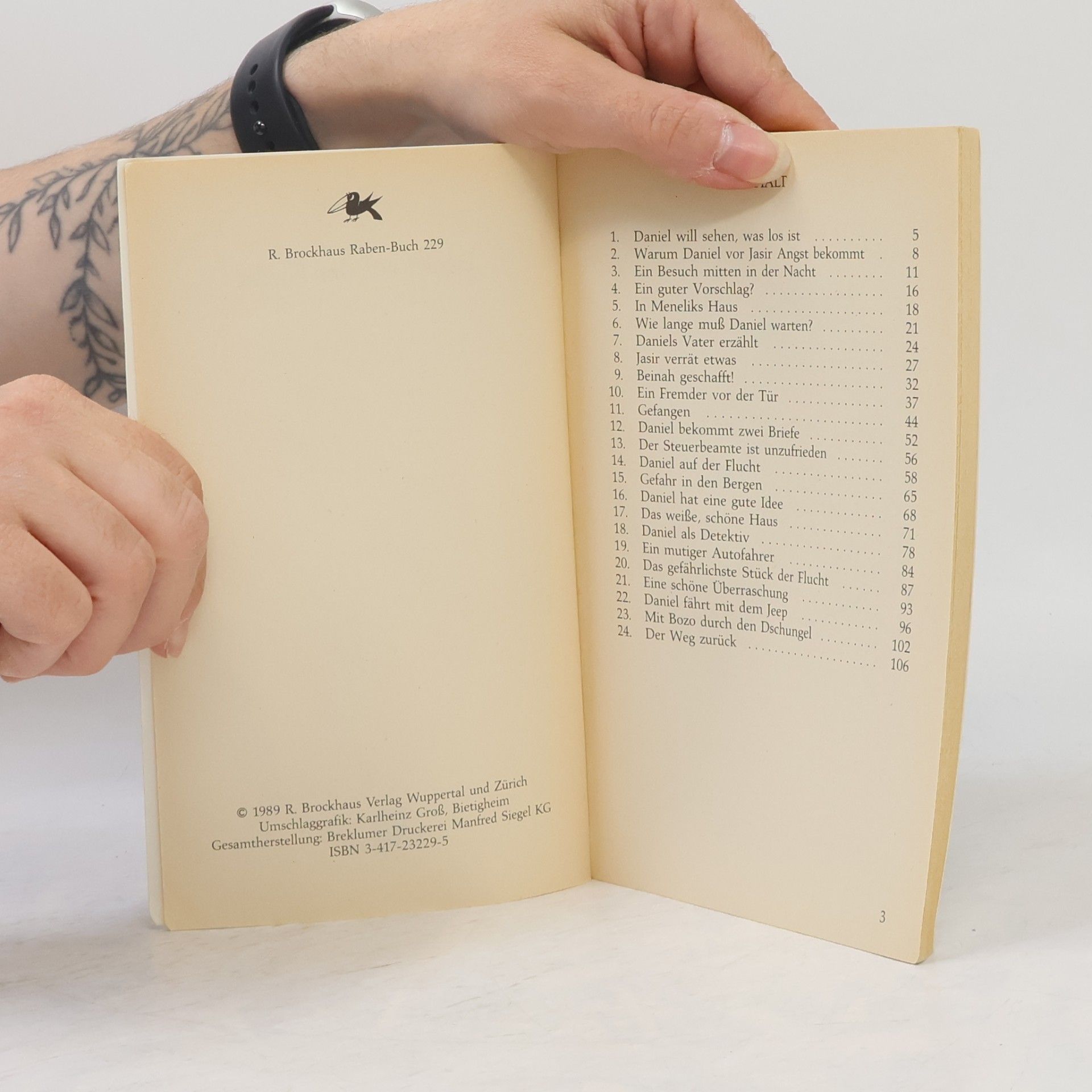 Gisela Jahn Brockhaus Rabenbücher: Daniel auf der Flucht
