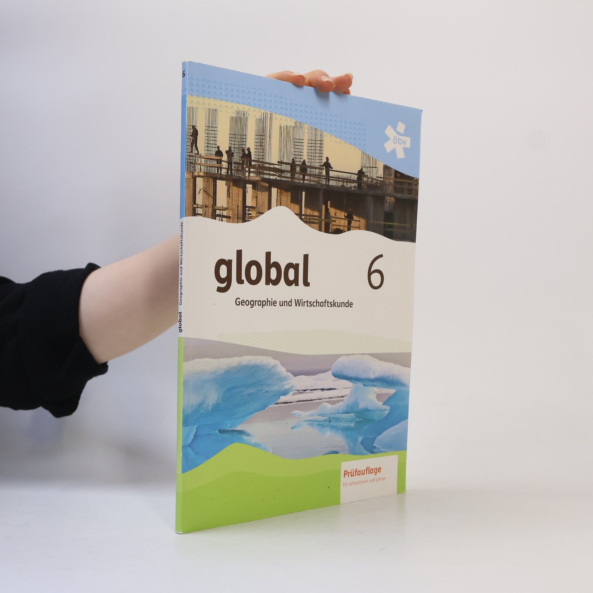 Autorenkollektiv Global 6. Geographie und Wirtschaftskunde