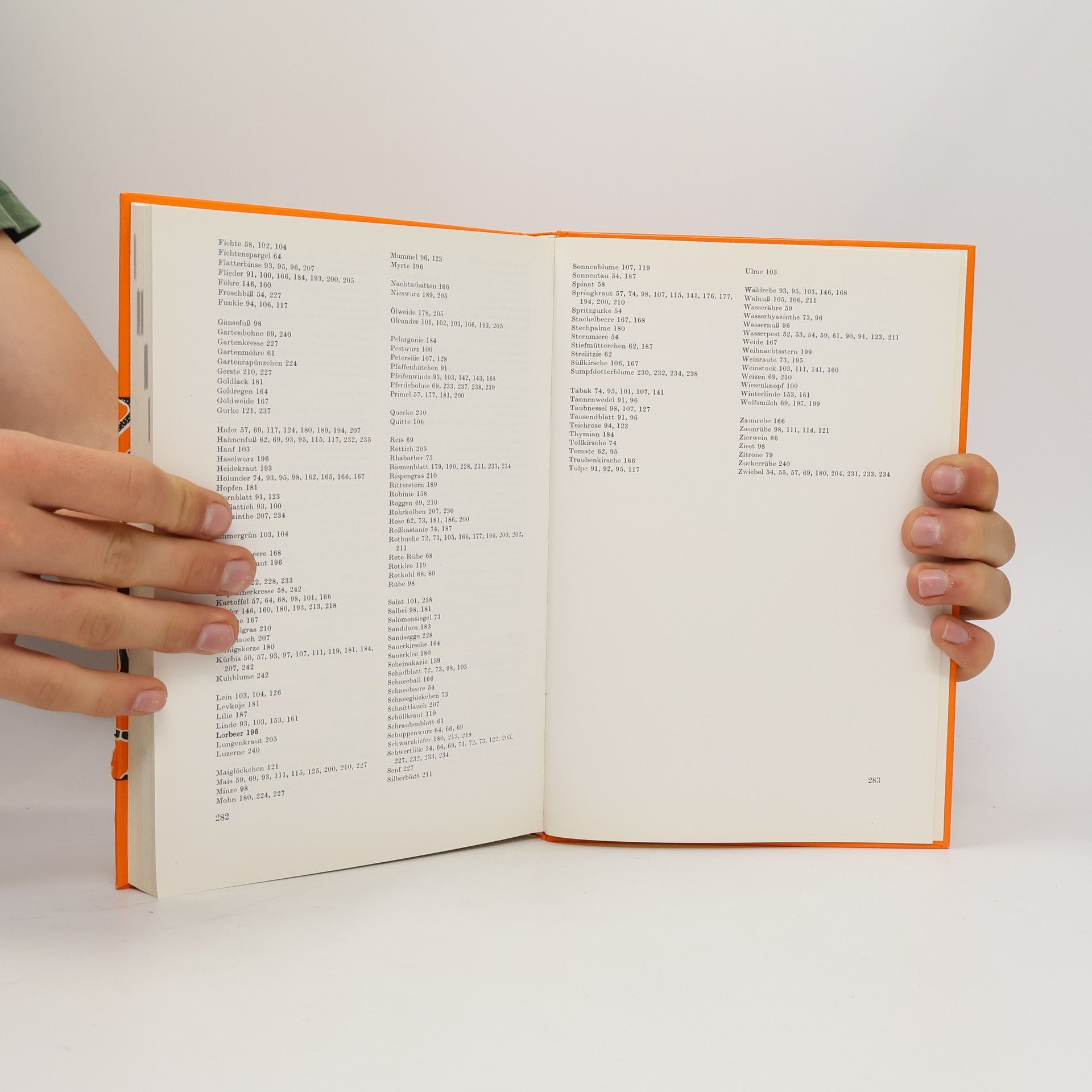 Alfred Leman Pflanzenanatomisches Praktikum - 7. Auflage