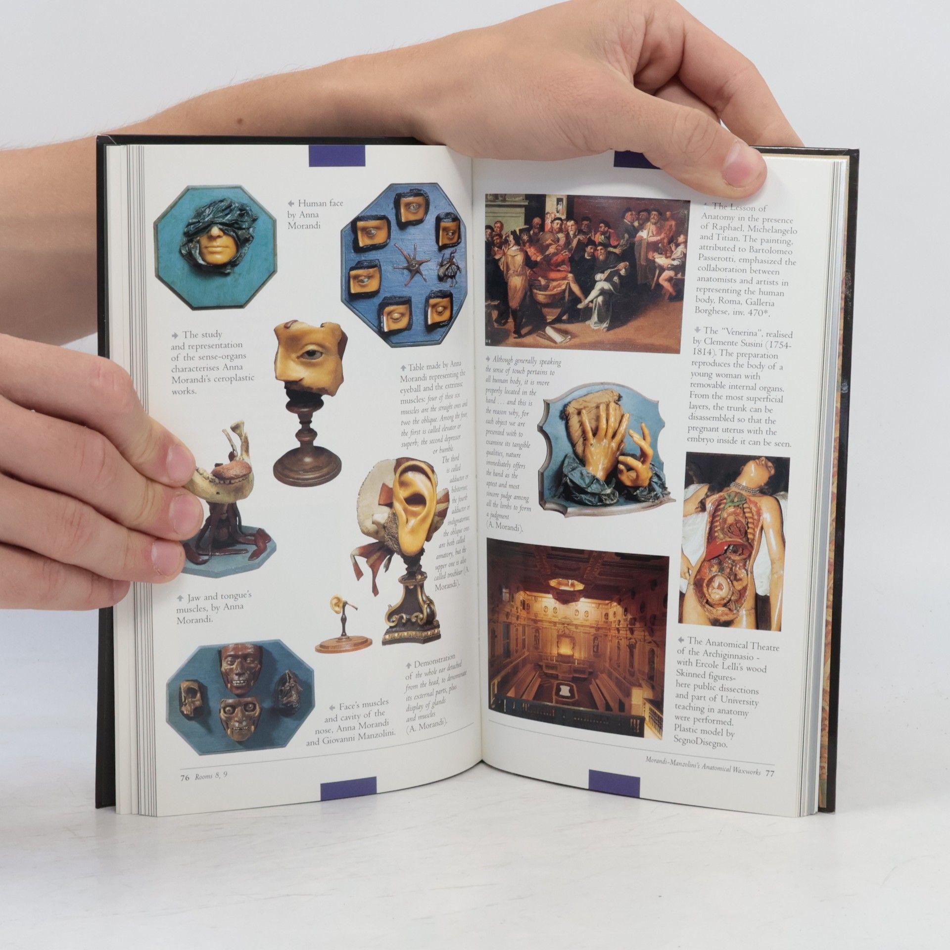 Guide to Palazzo Poggi Museum
