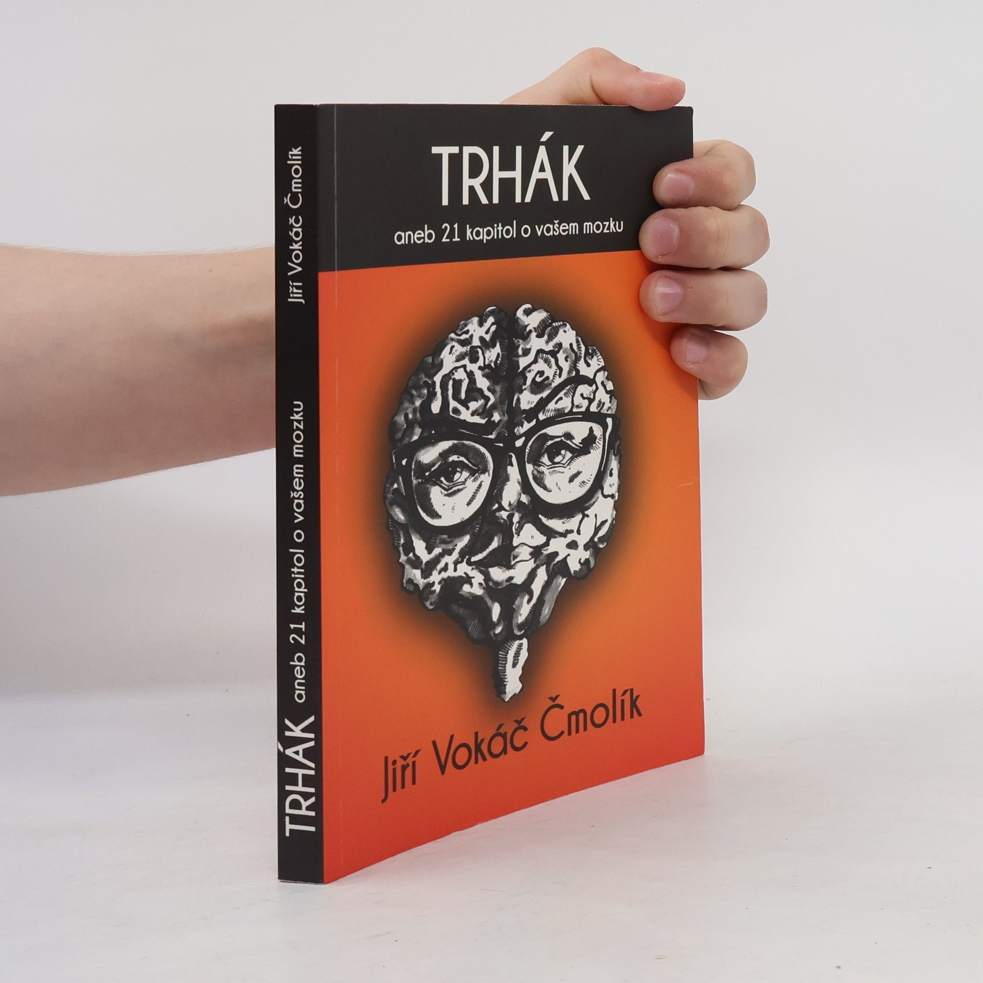 Trhák aneb 21 kapitol o vašem mozku