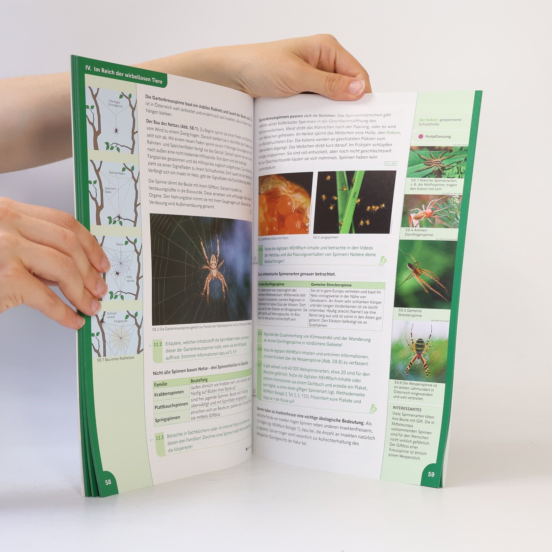 Kolektiv autorů MEHRfach. Biologie 2. Teil 1