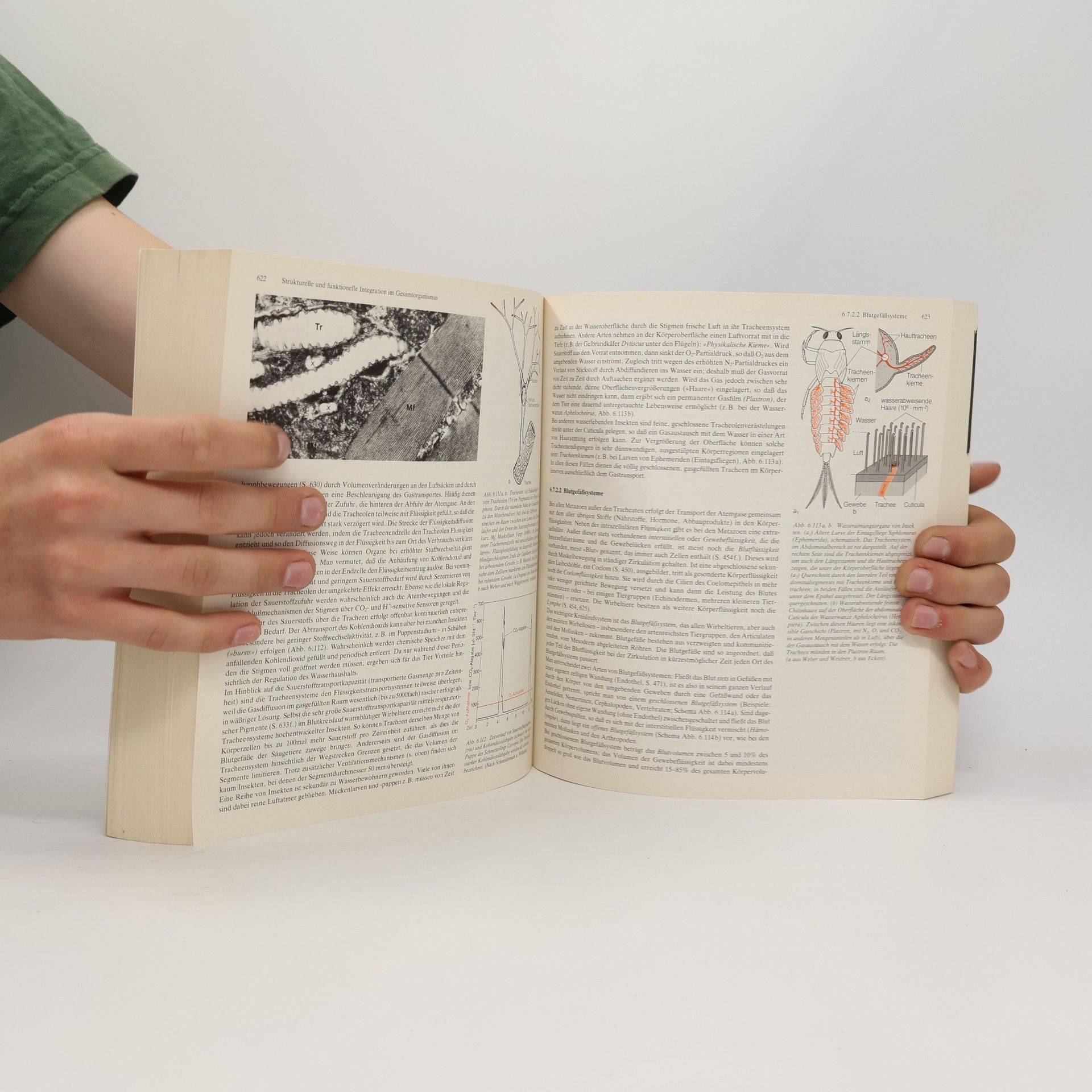 V. Blüm Springer-Lehrbuch: Biologie