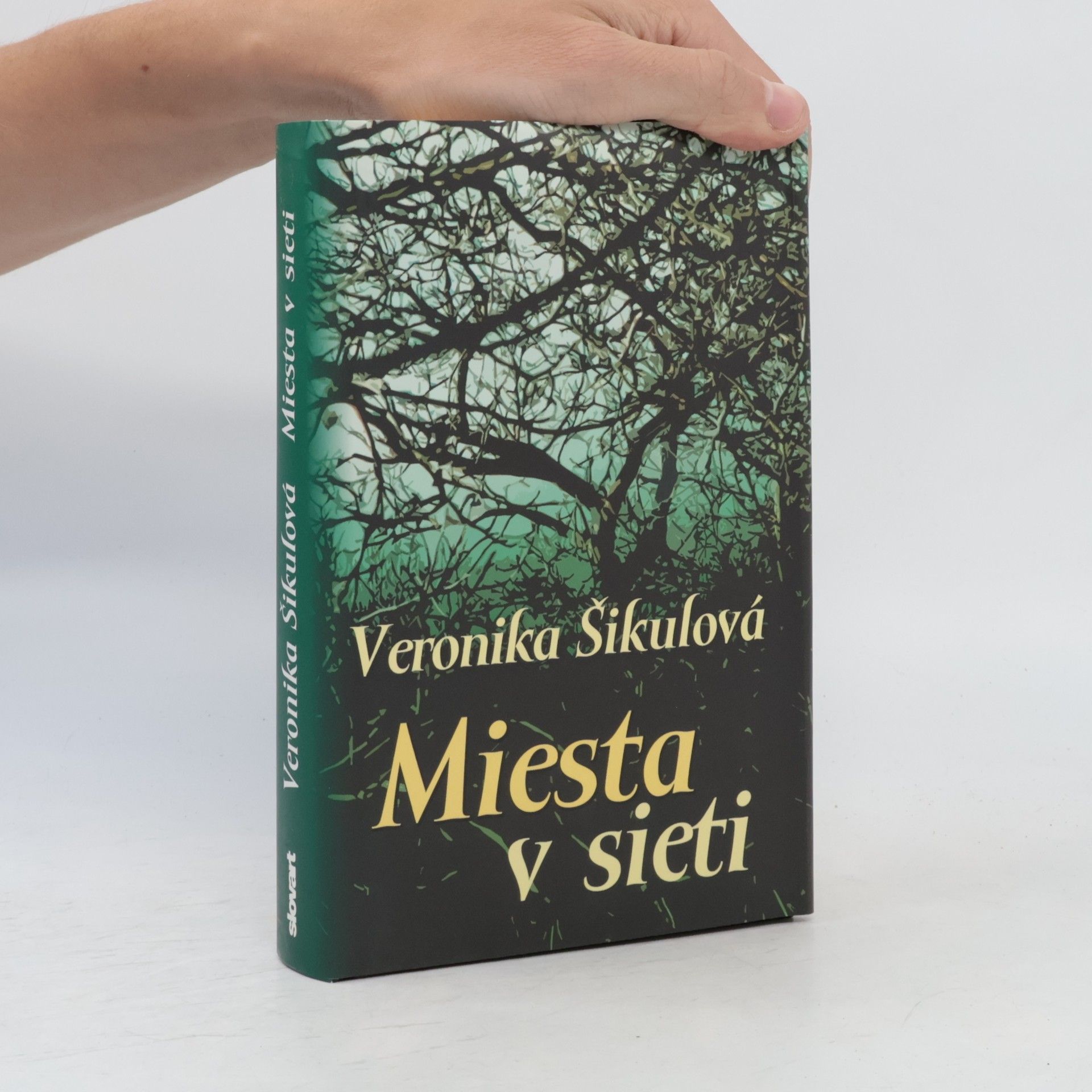 Veronika Šikulová Miesta v sieti