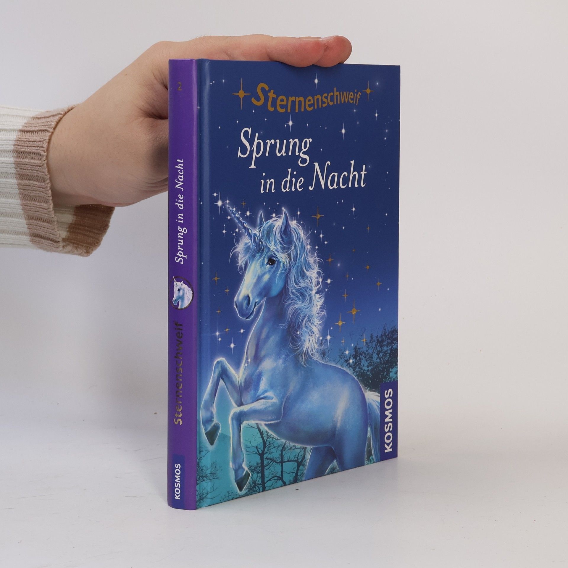 Linda Chapman Sprung in die Nacht