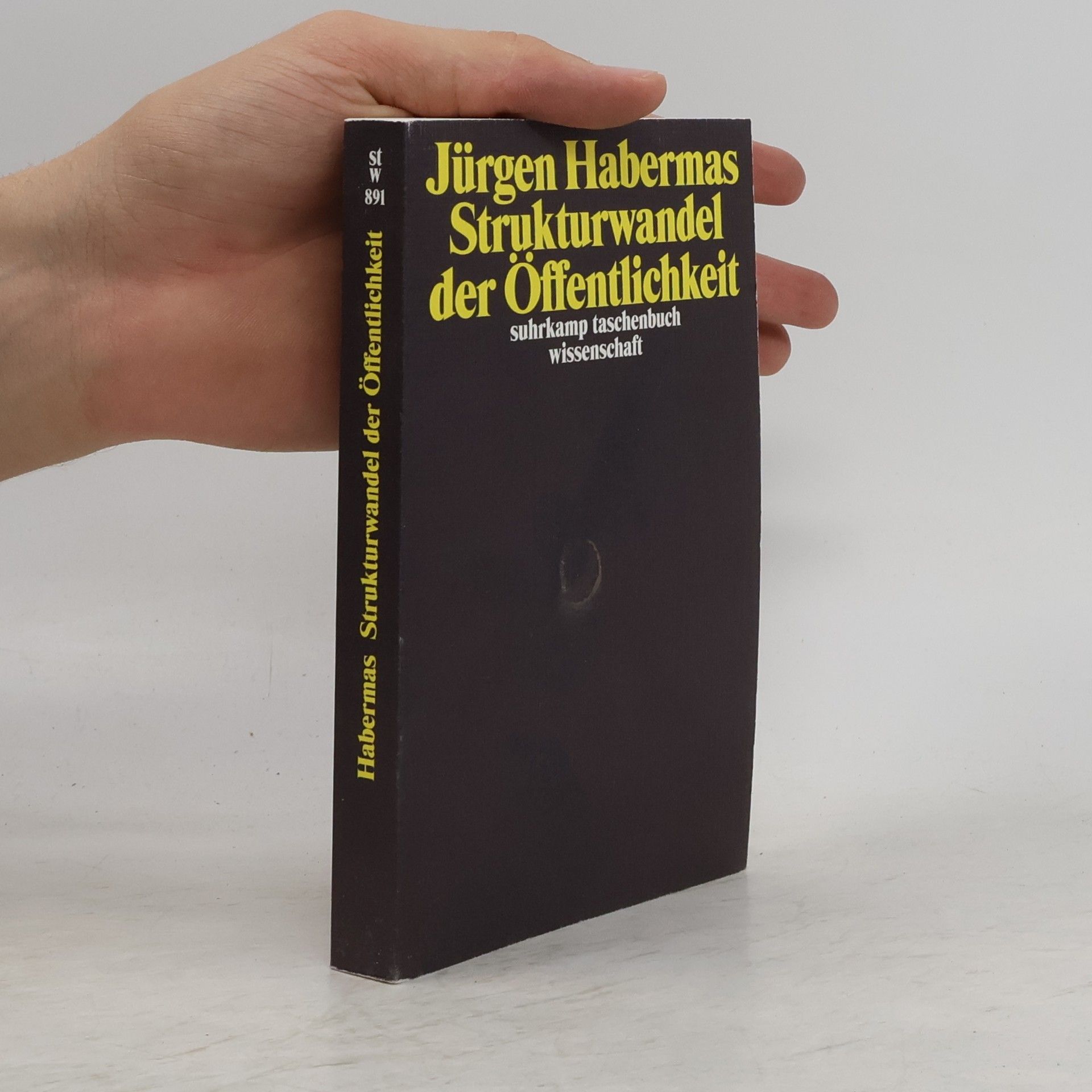 Jürgen Habermas Strukturwandel der Öffentlichkeit