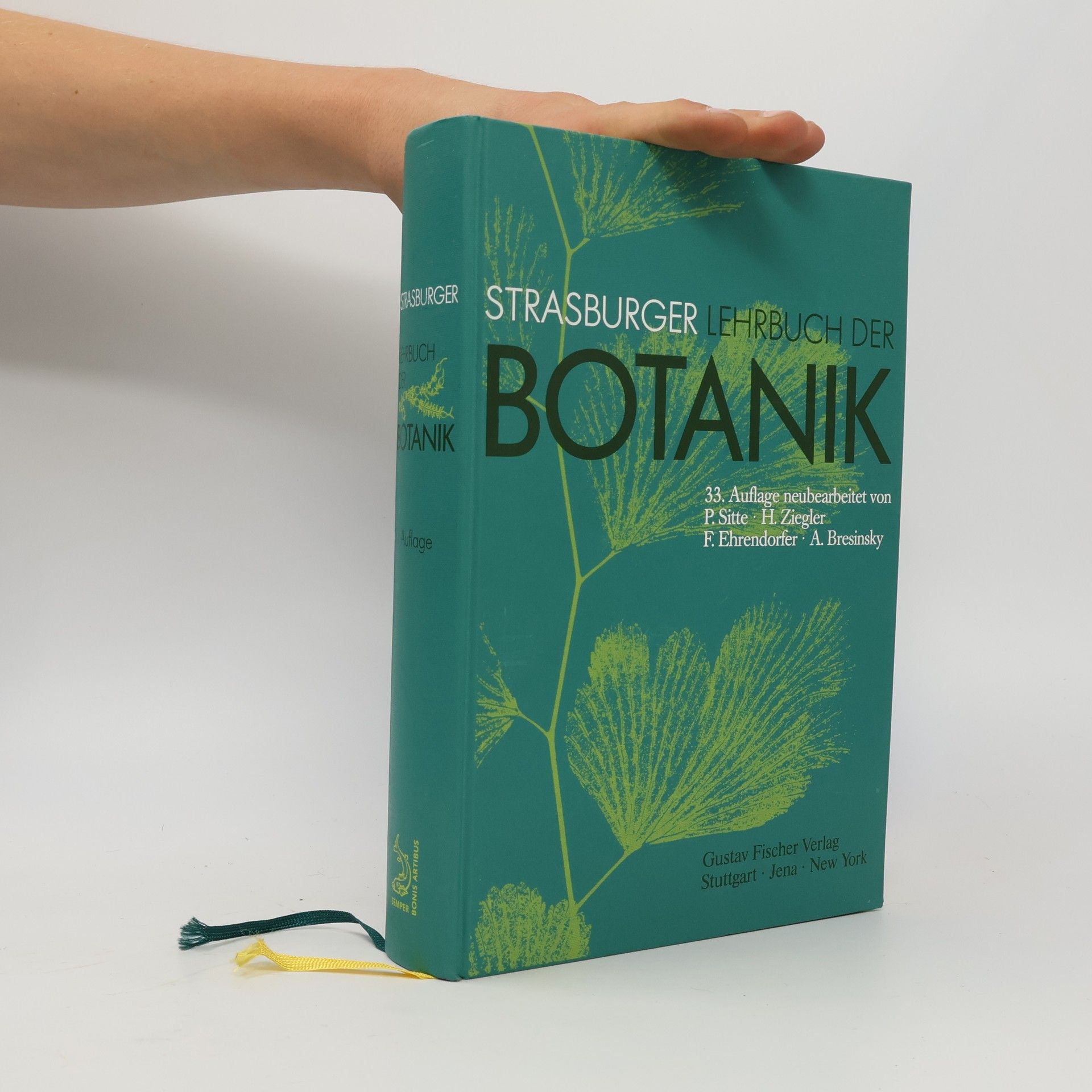 Autorenkollektiv Strasburger Lehrbuch der Botanik