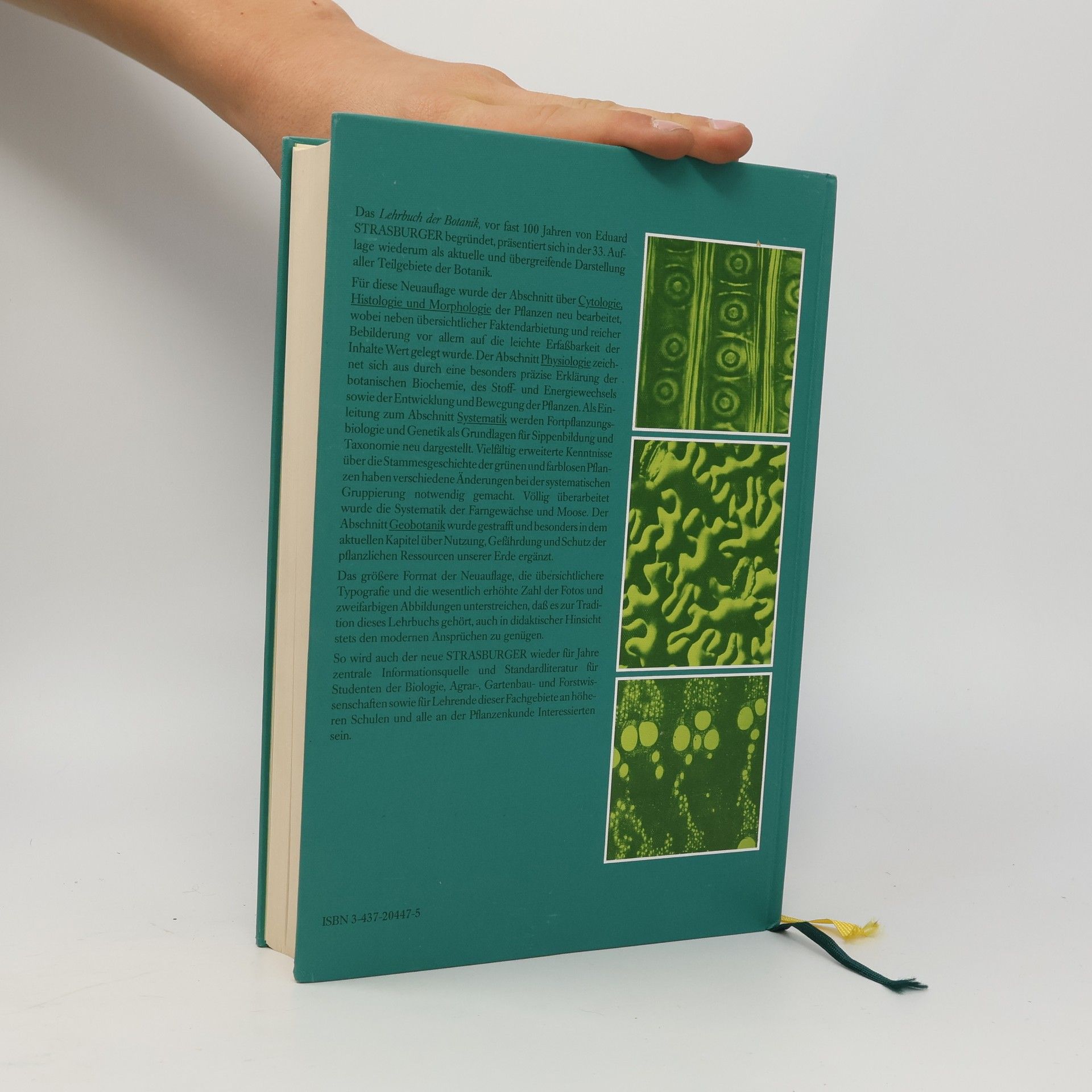 Autorenkollektiv Strasburger Lehrbuch der Botanik