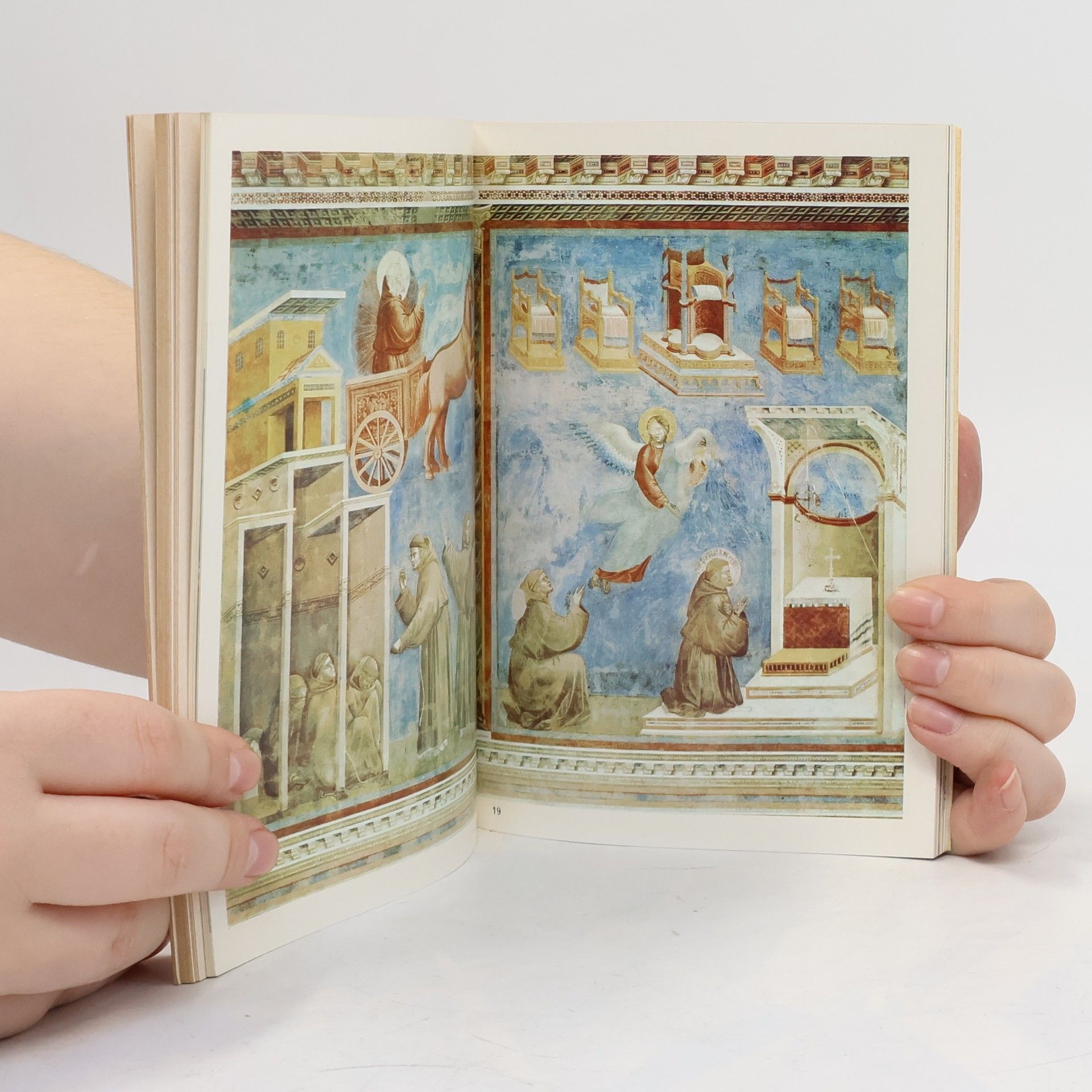 Mario Bucci Giotto