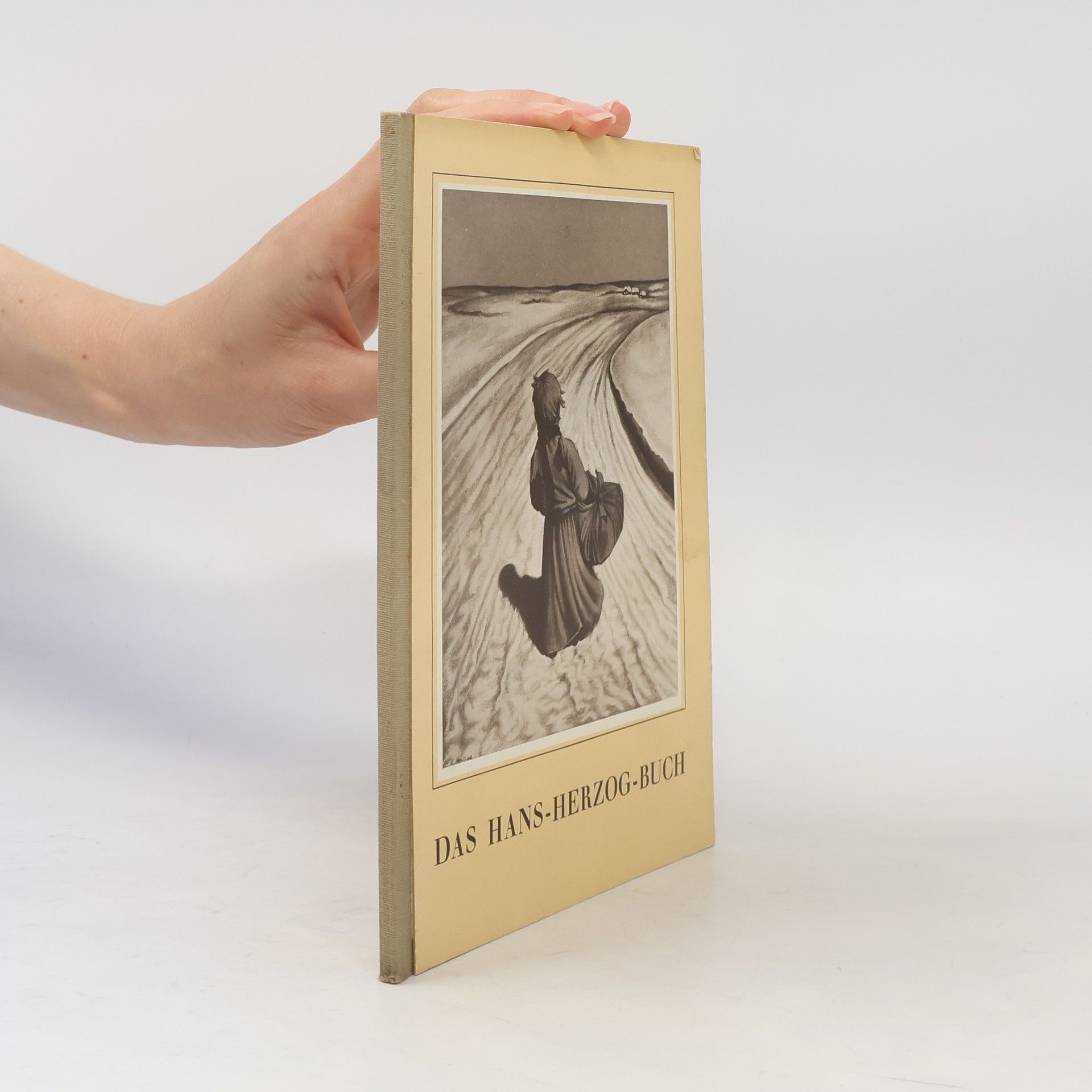 Margarete Seemann Das Hans-Herzog-Buch