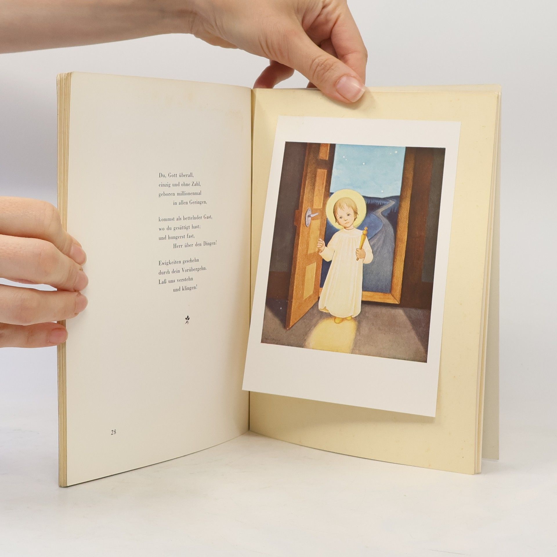 Margarete Seemann Das Hans-Herzog-Buch