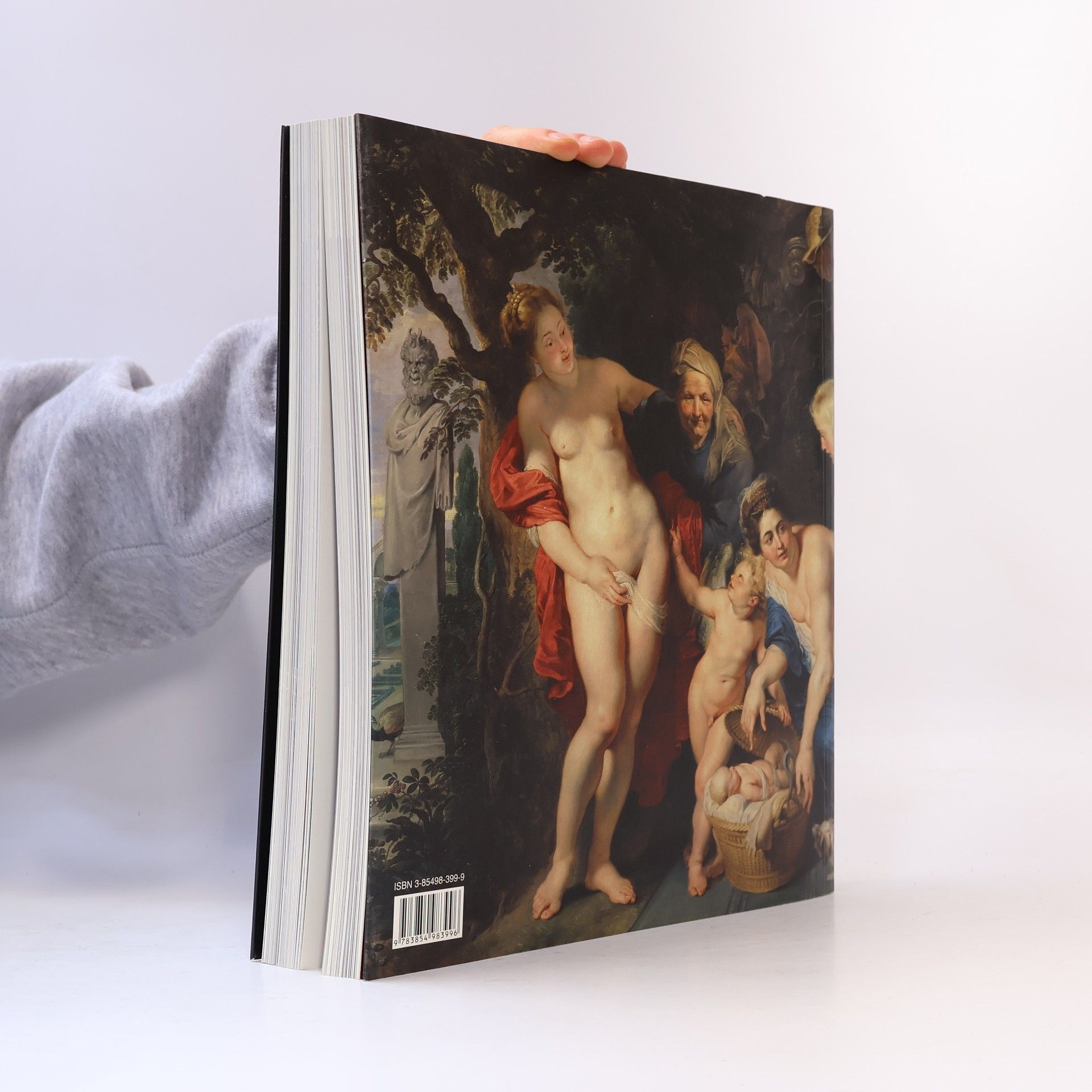 Johann Kräftner Rubens in Wien. Die Meisterwerke.