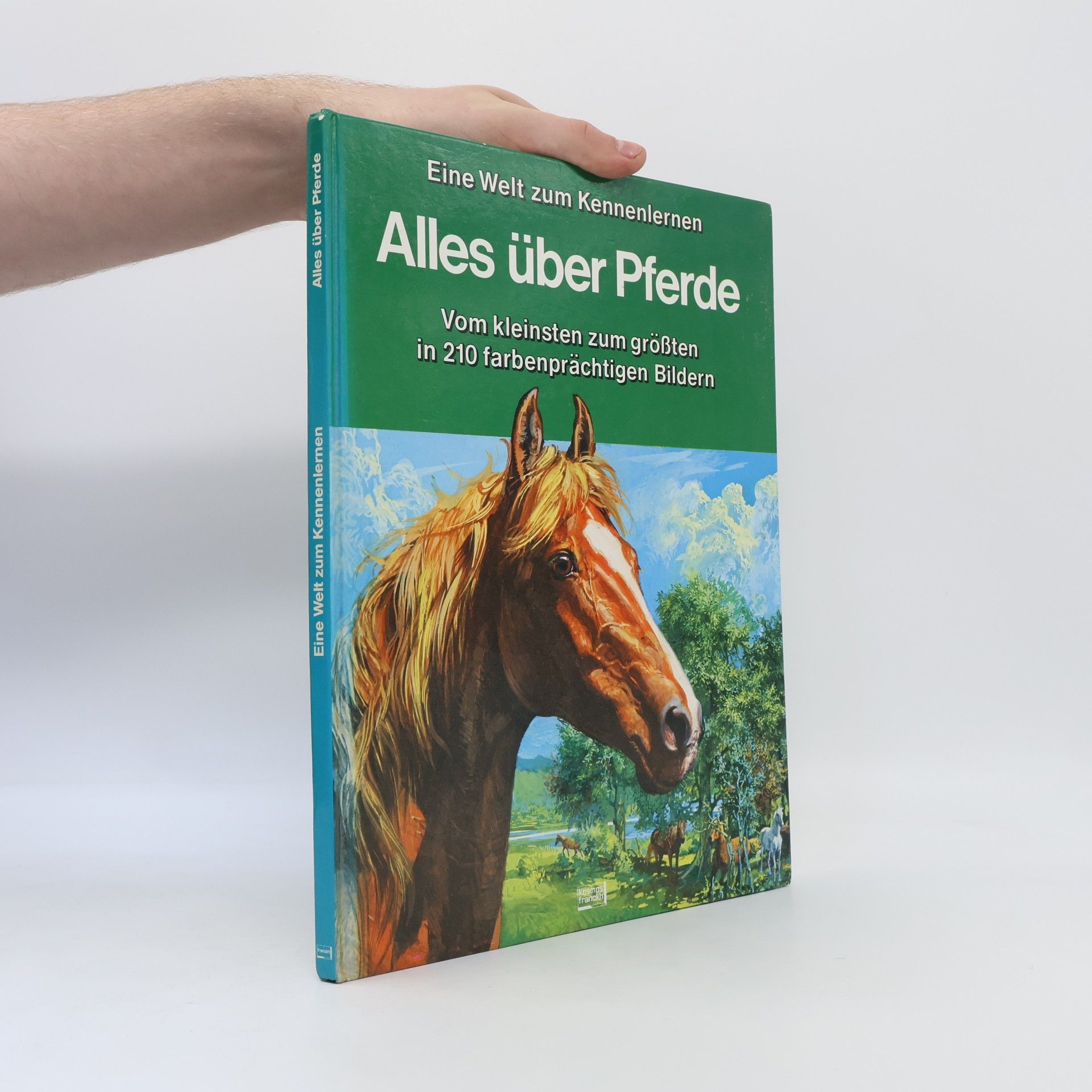 Alles über Pferde