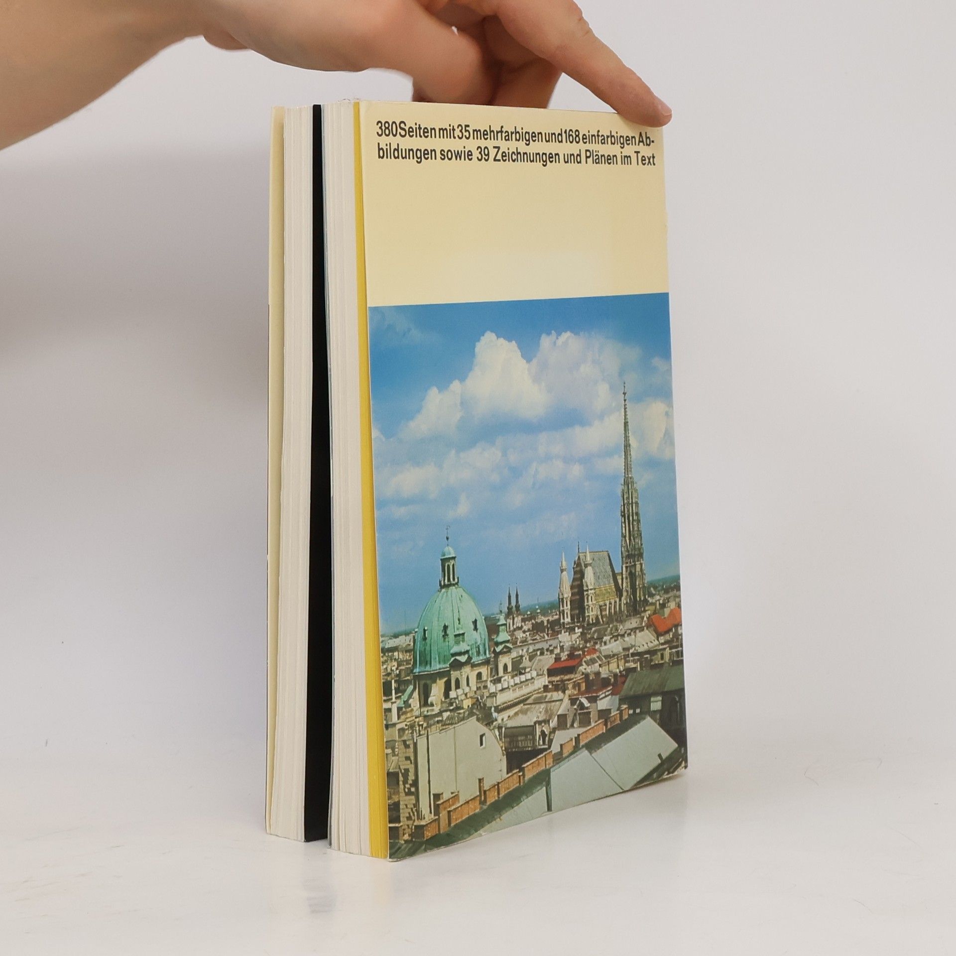 Felix Czeike Wien und Umgebung: Kunst, Kultur und Geschichte der Donaumetropole