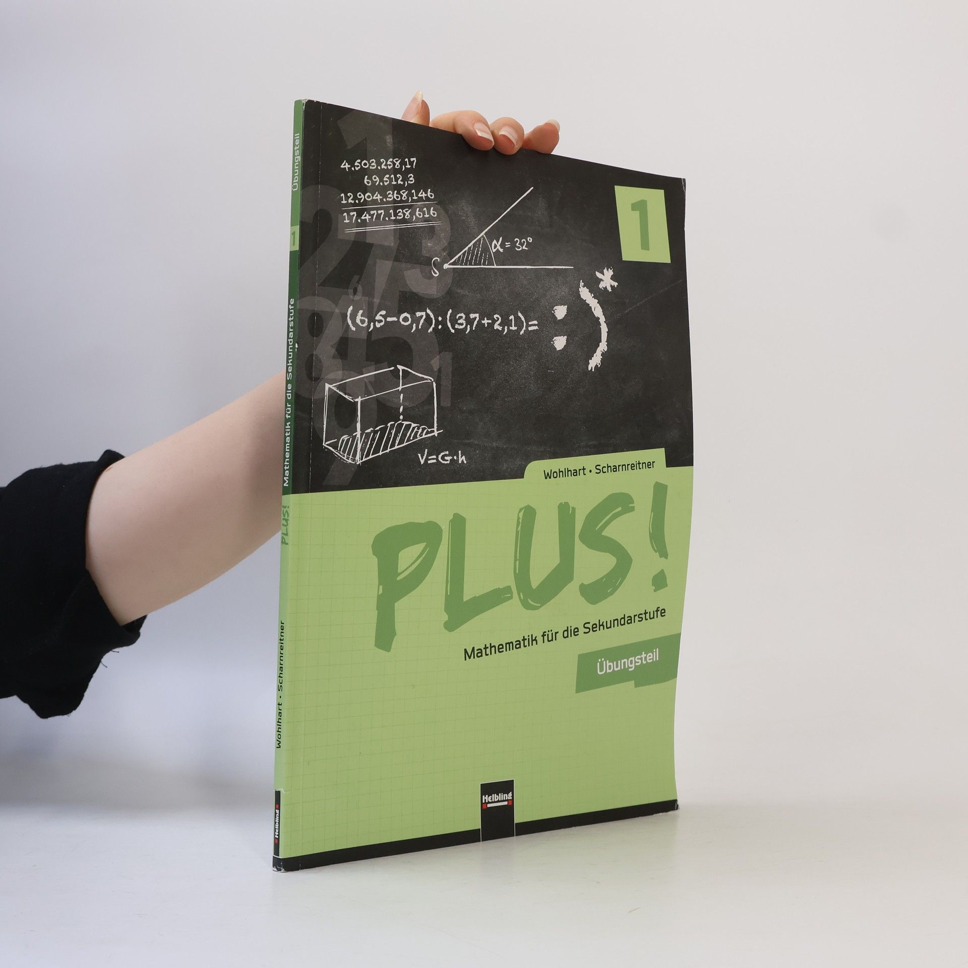 David Wohlhart PLUS! Mathematik für die Sekundarstuffe. Übungsteil