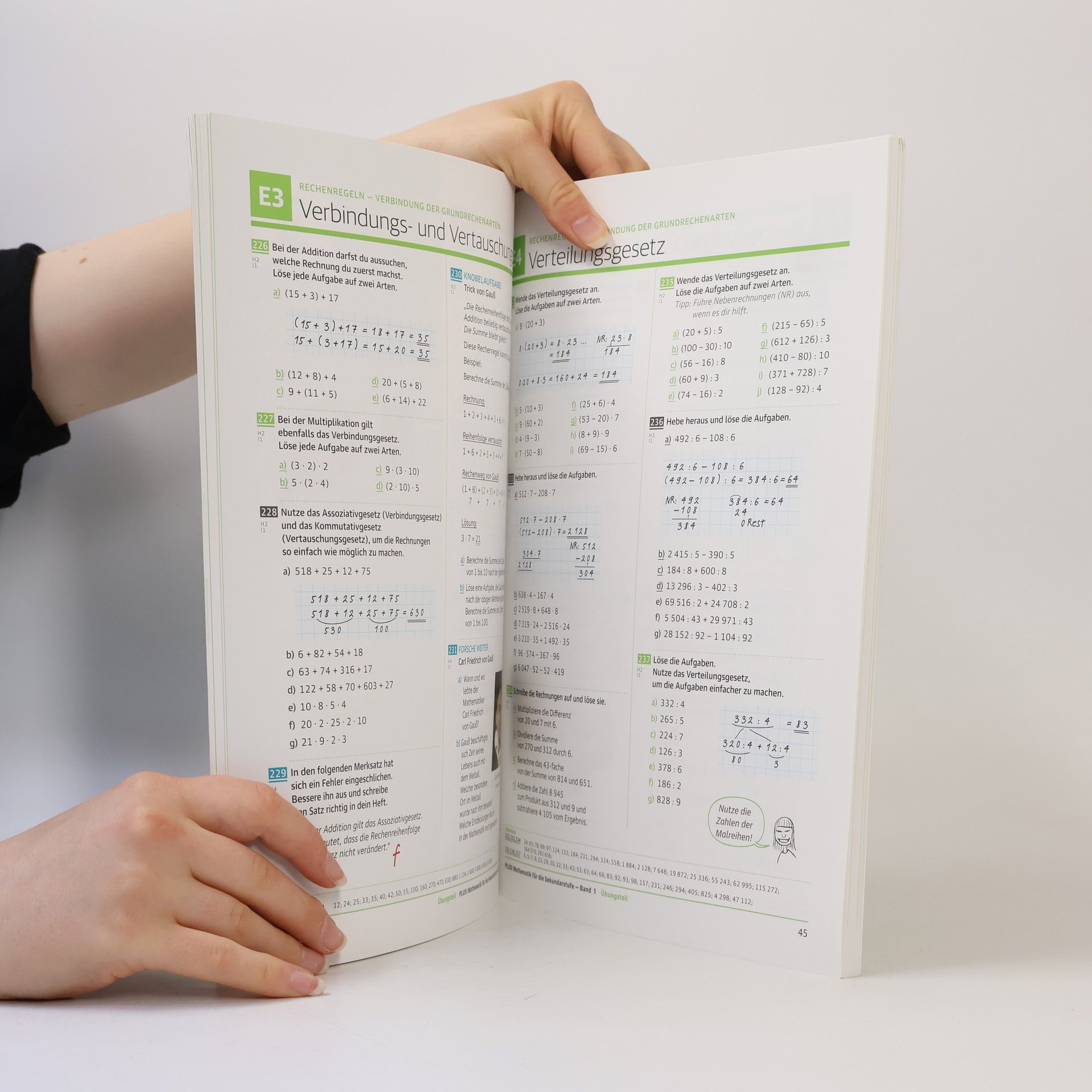 David Wohlhart PLUS! Mathematik für die Sekundarstuffe. Übungsteil