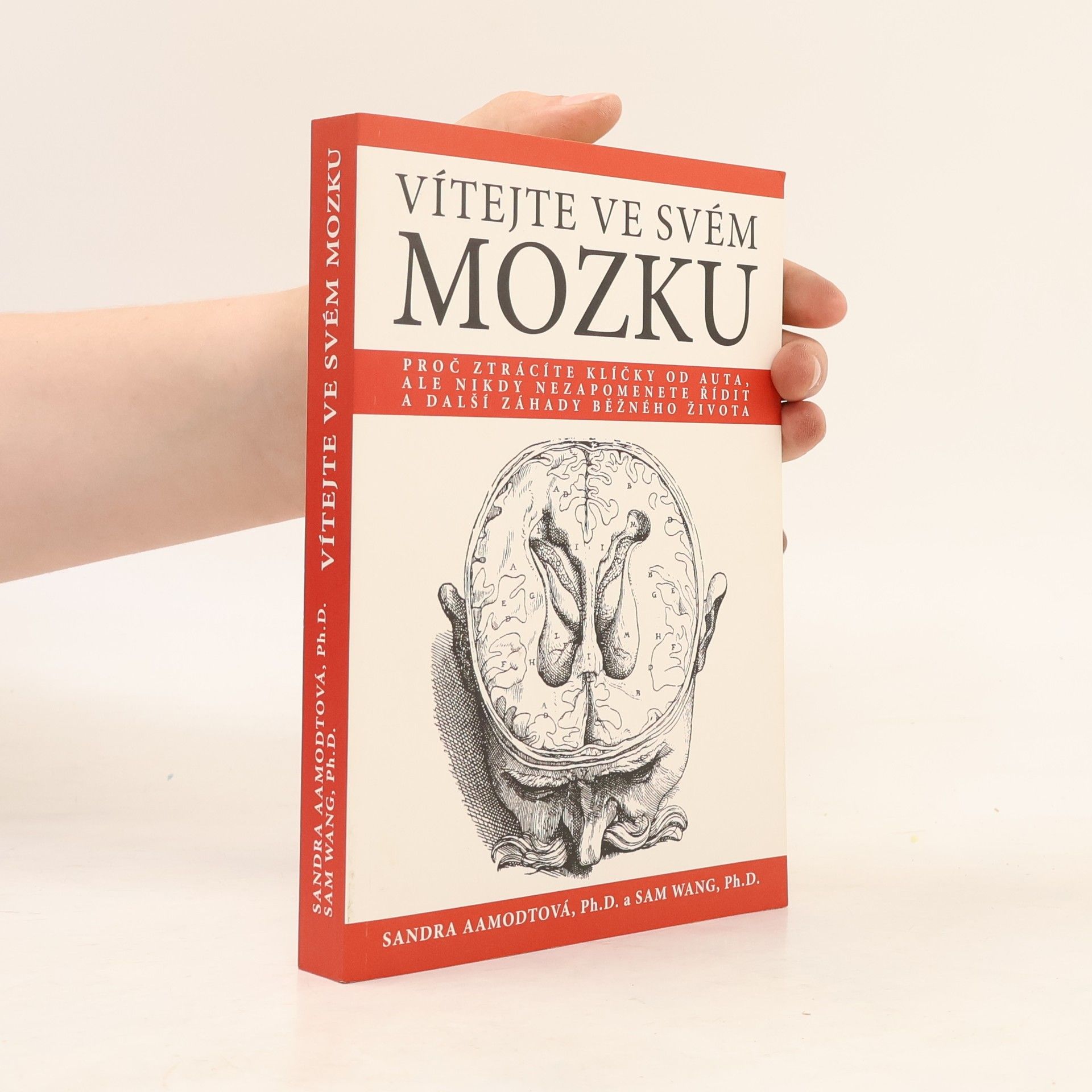 Vítejte ve svém mozku