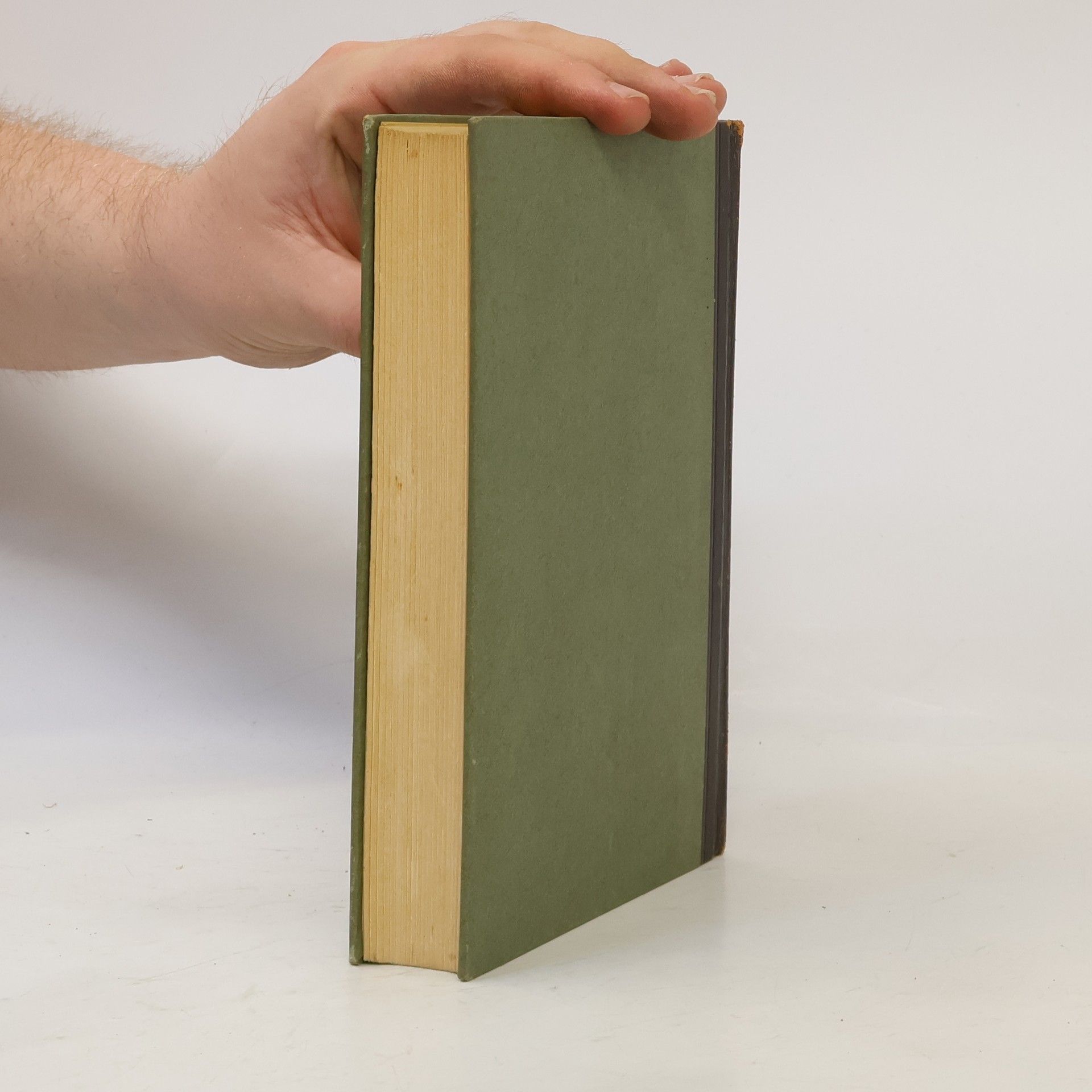 Hans Fallada Damals bei uns daheim