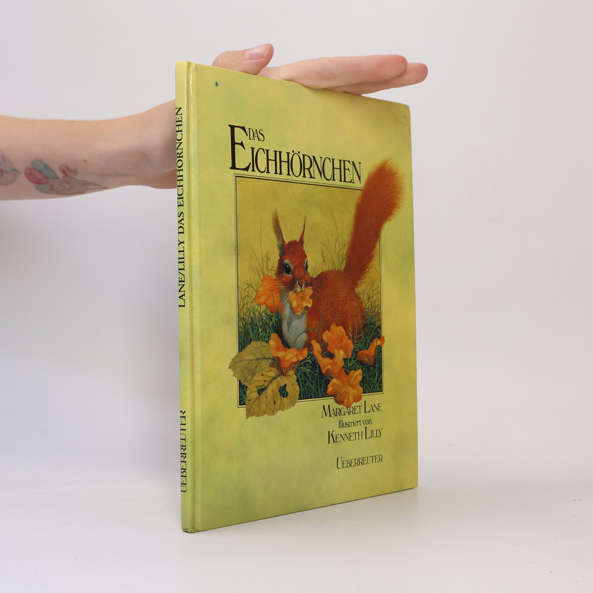 Das Eichhörnchen