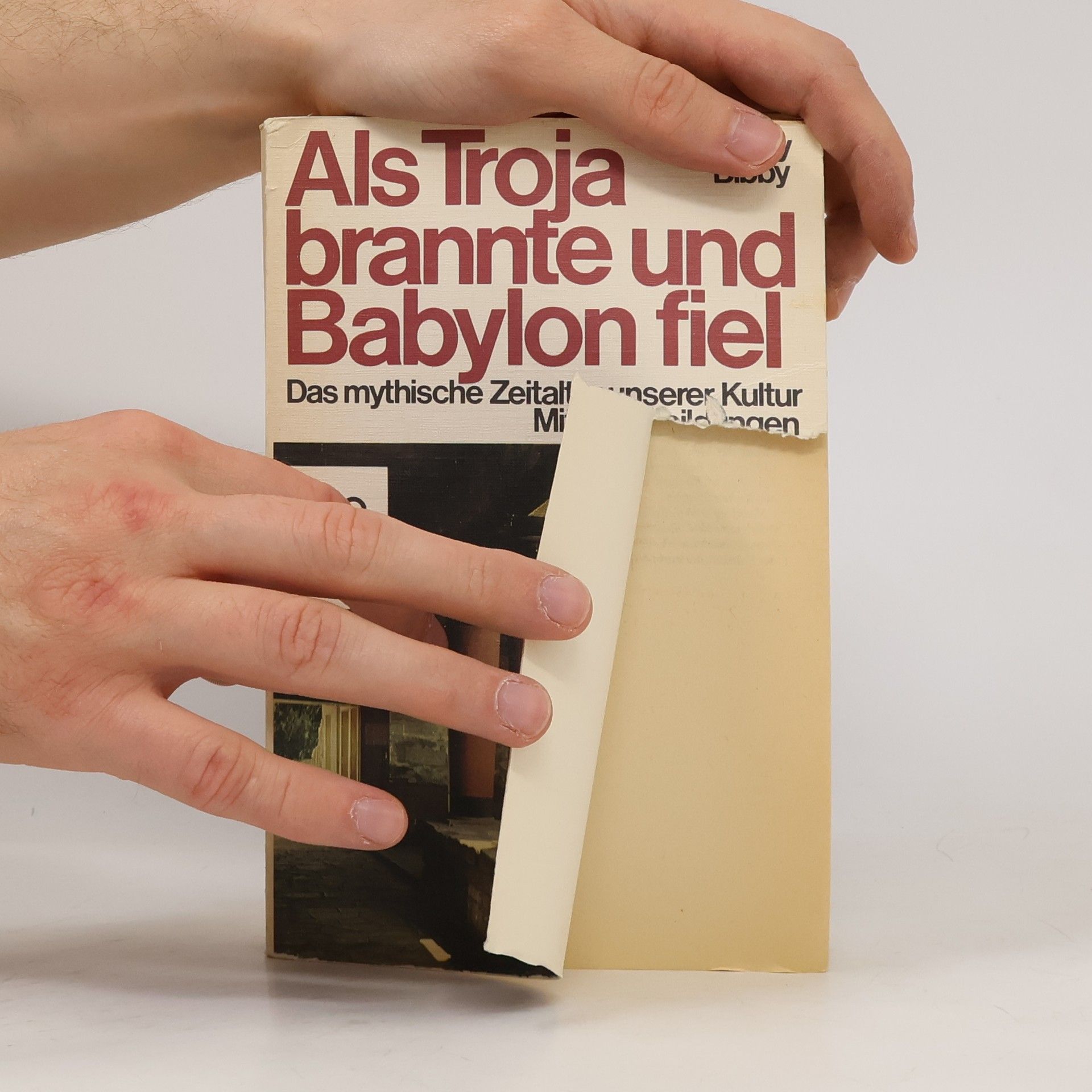 Geoffrey Bibby Als Troja brannte und Babylon fiel