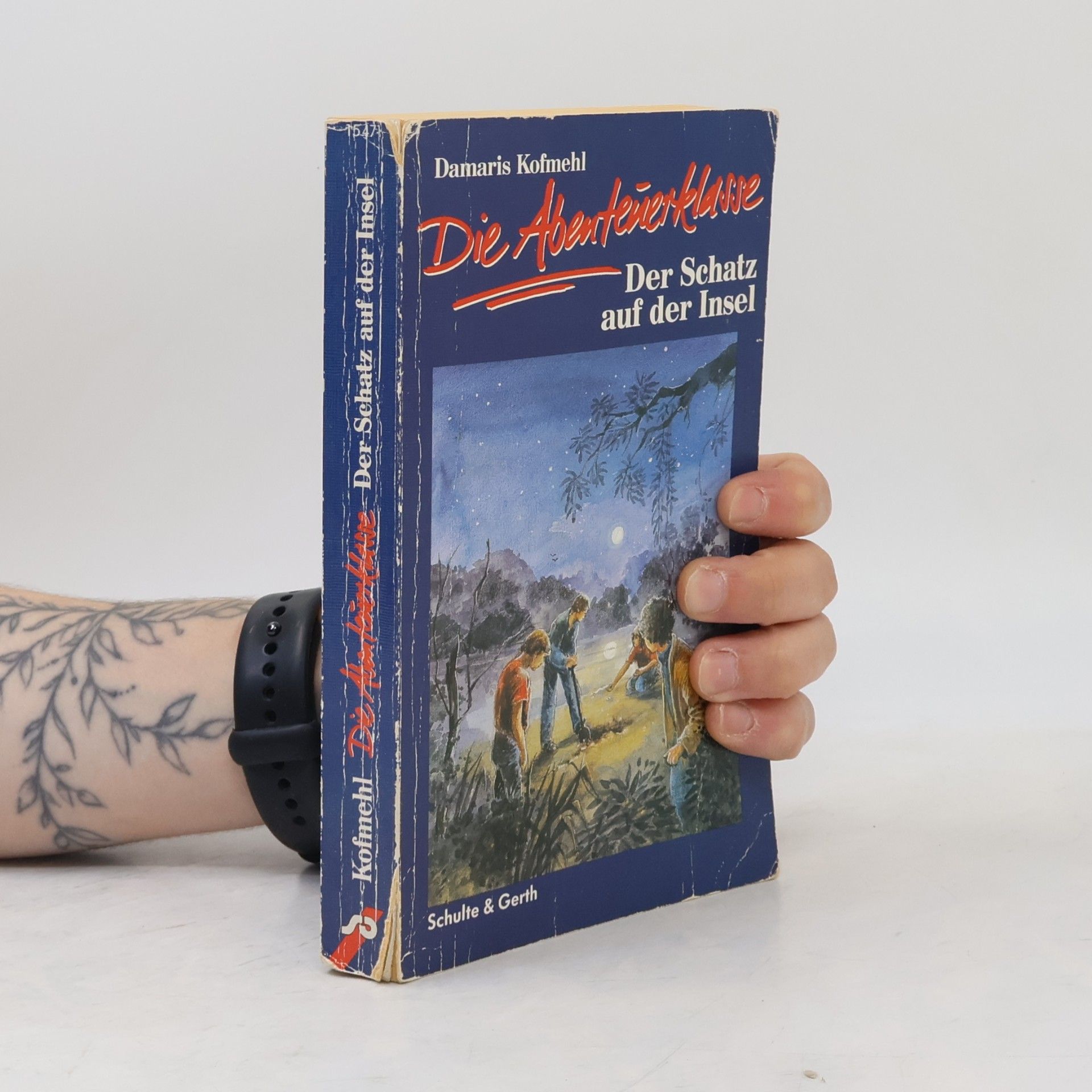 Damaris Kofmehl Die Abenteuerklasse - 3: Der Schatz auf der Insel