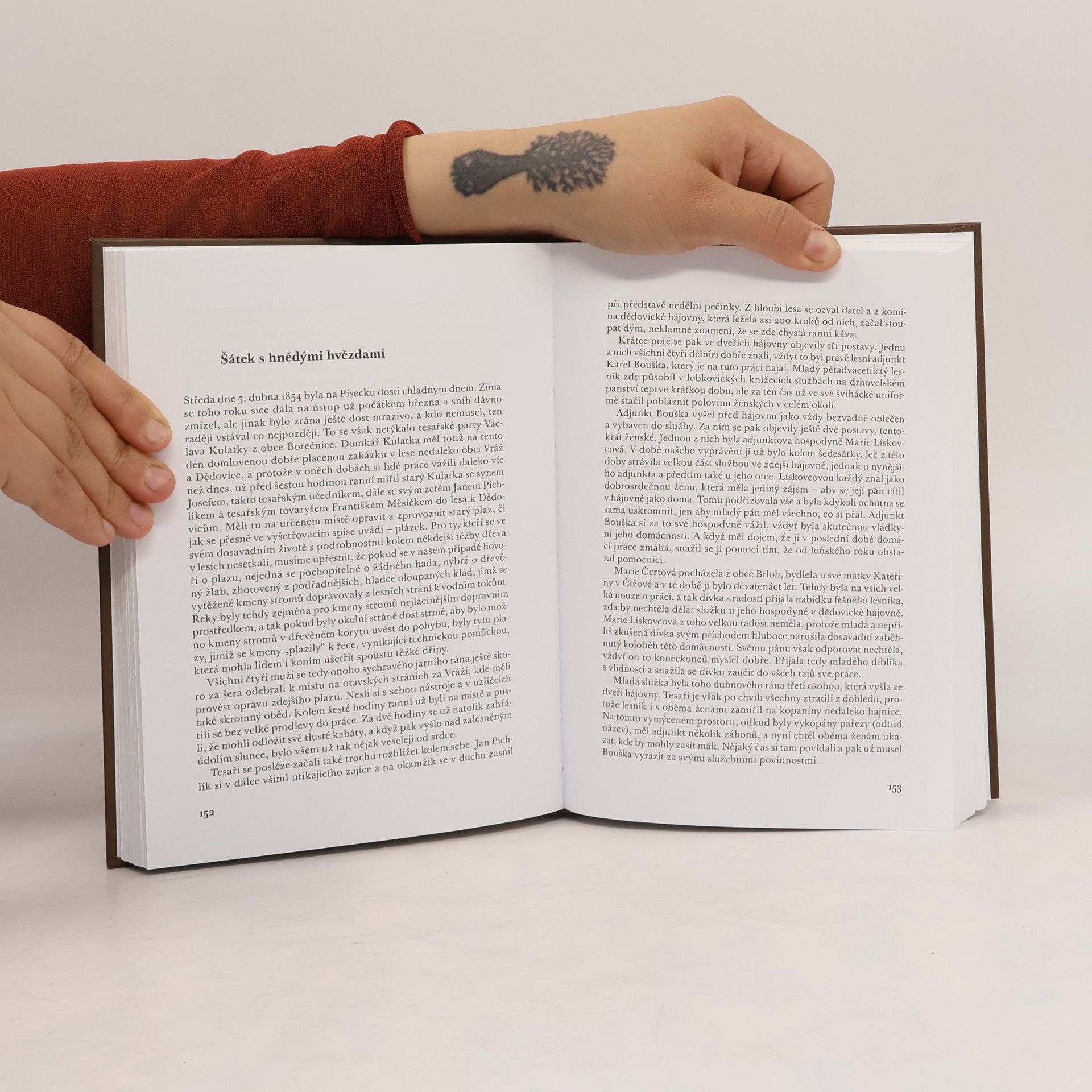 Vladimír Šindelář Historické panoptikum jihočeského zločinu