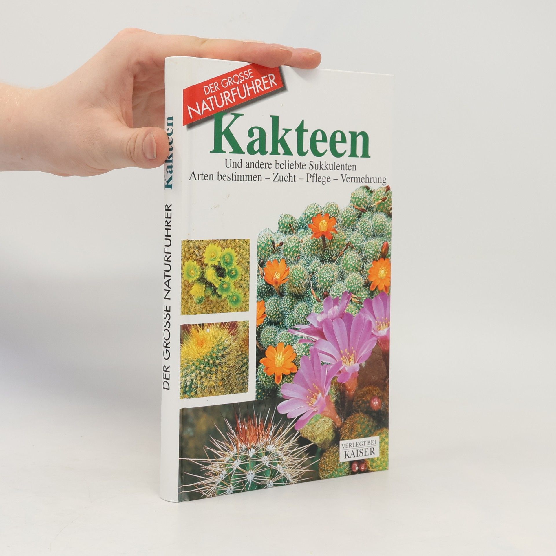 Kakteen und andere beliebte Sukkulenten