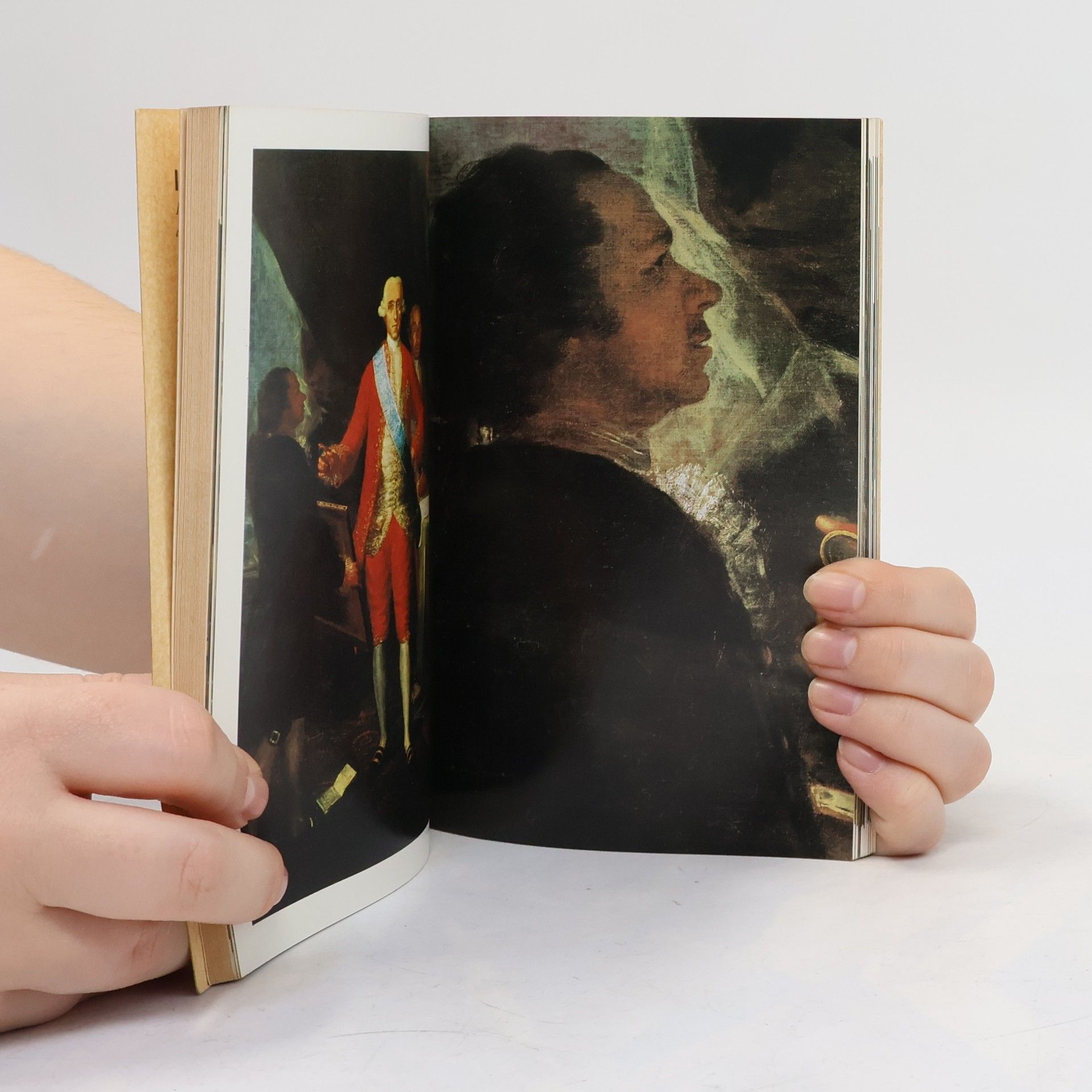 Margherita Abbruzzese Goya. The Life and Work of the Artist Illustrated with 80 Colour Plates