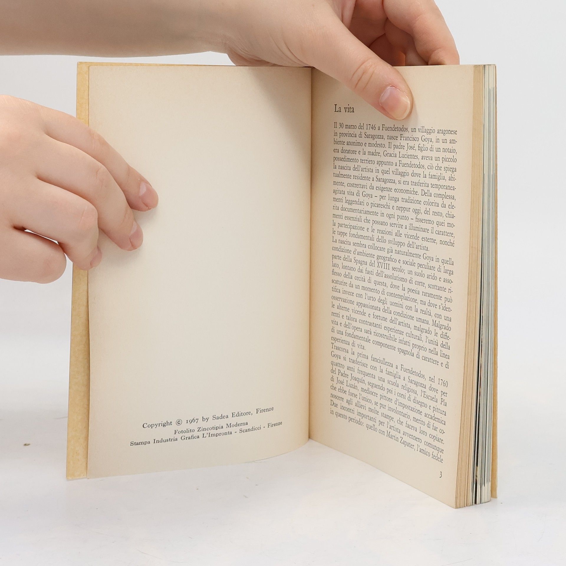Margherita Abbruzzese Goya. The Life and Work of the Artist Illustrated with 80 Colour Plates