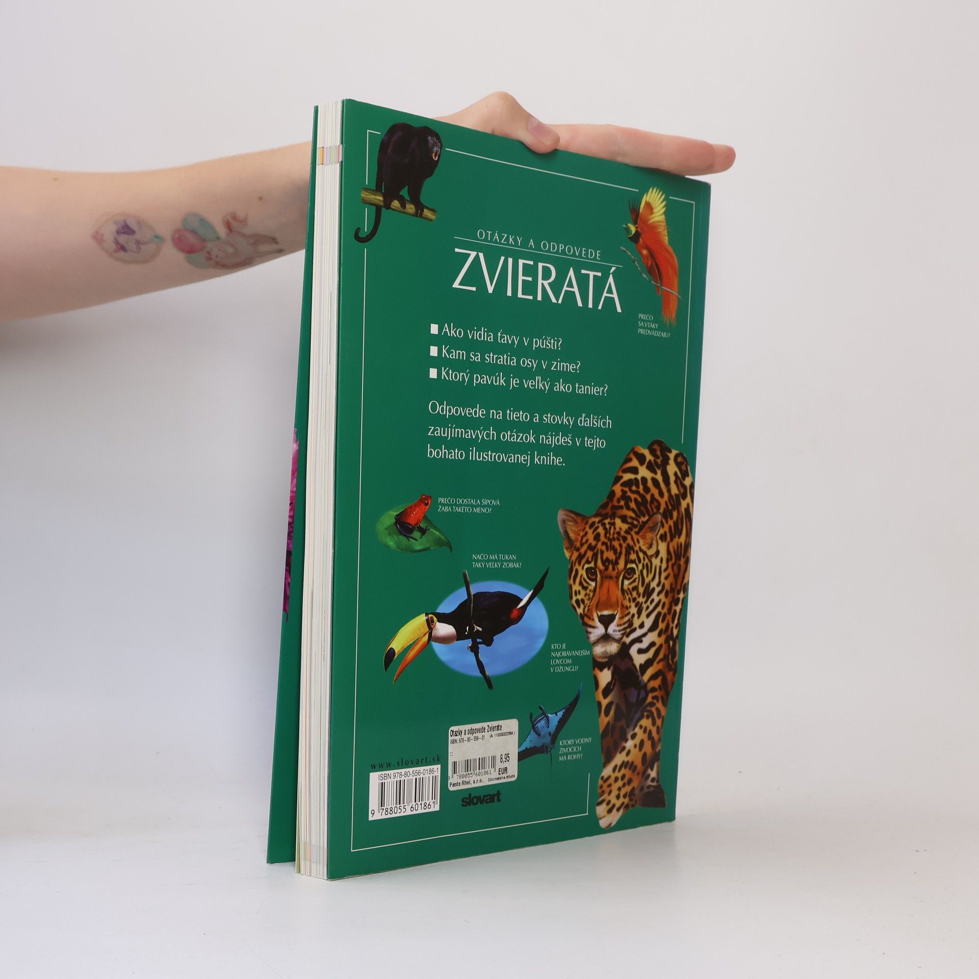 Autorenkollektiv Zvieratá: otázky a odpovede