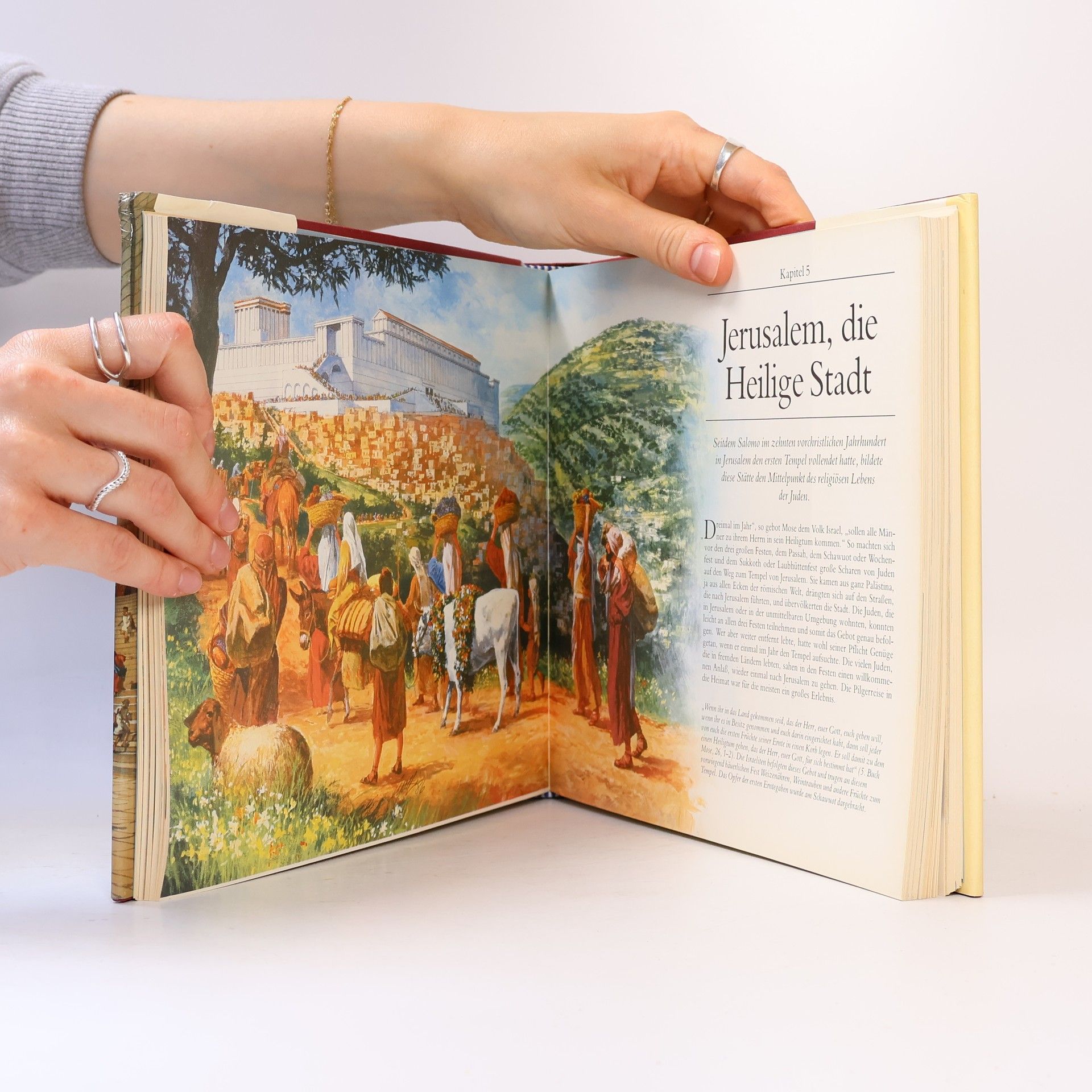Various authors Auf den Spuren Jesus Christus