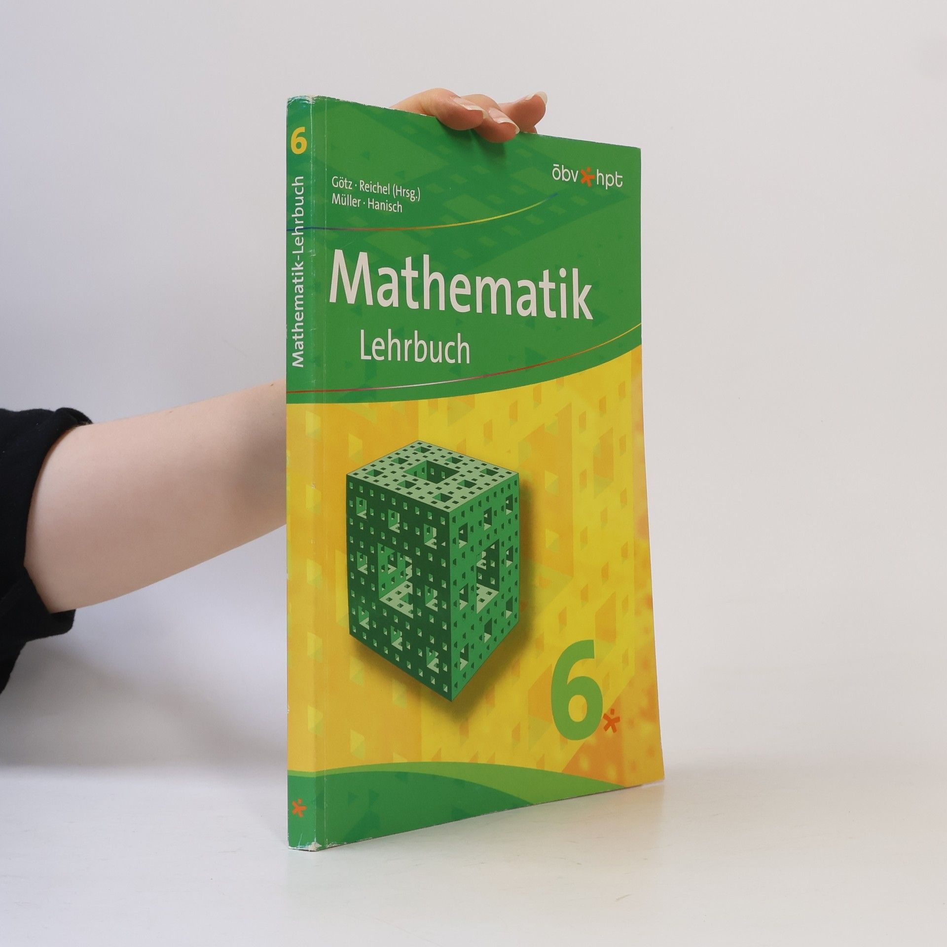 Stefan Götz Mathematik Lehrbuch 6