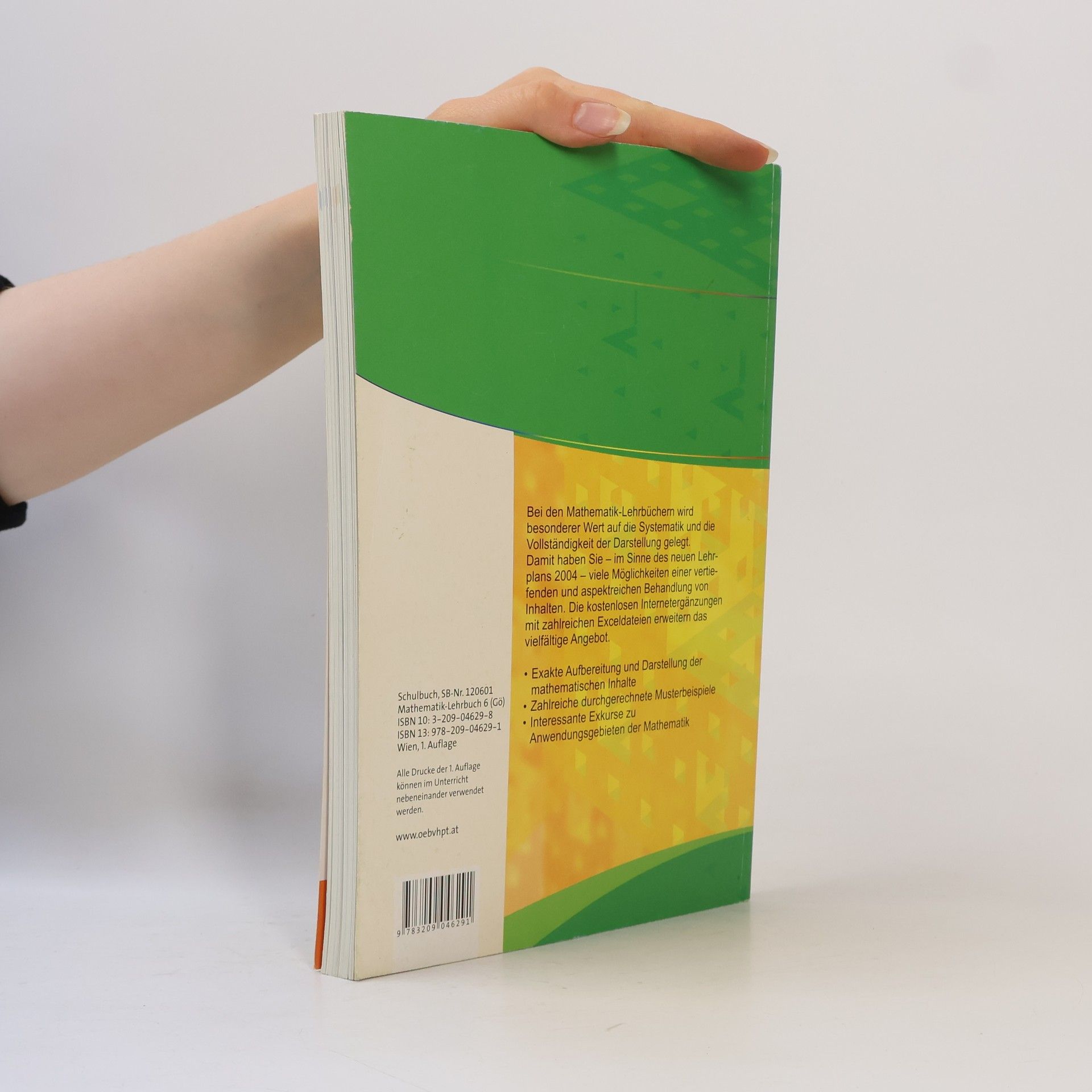 Stefan Götz Mathematik Lehrbuch 6