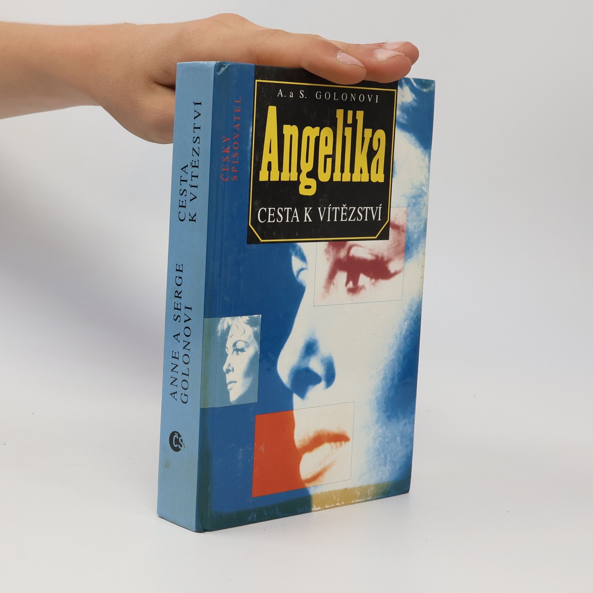 Anne Golon Angelika. Cesta k vítězství