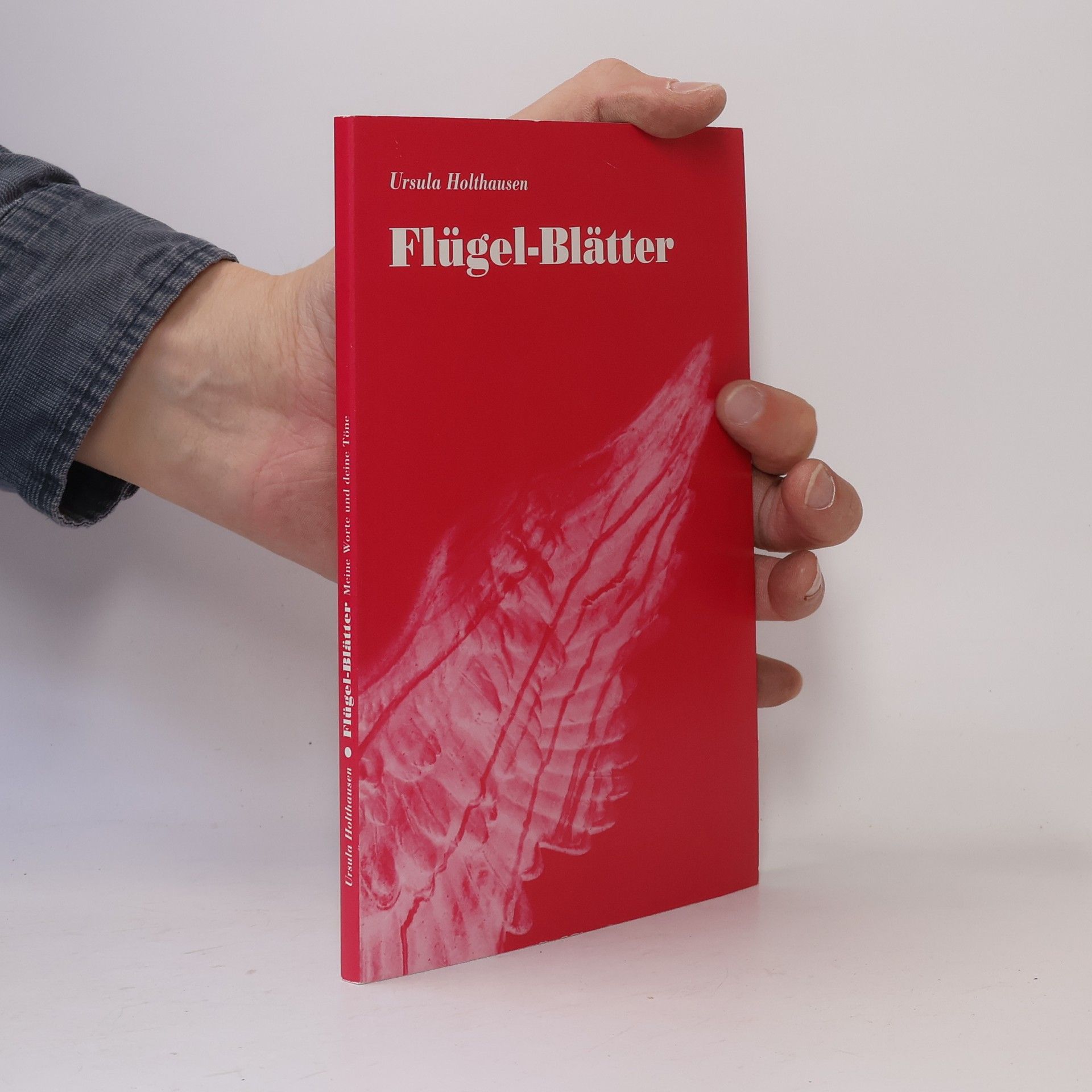 Ursula Holthausen Flügel-Blätter: Meine Worte und Deine Töne