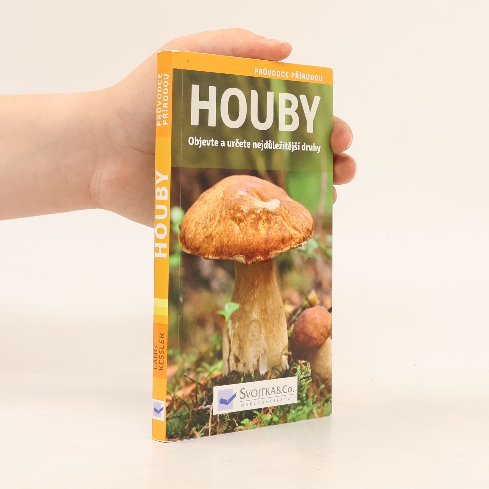 Angelika Lang Houby : [objevte a určete nejdůležitější druhy]