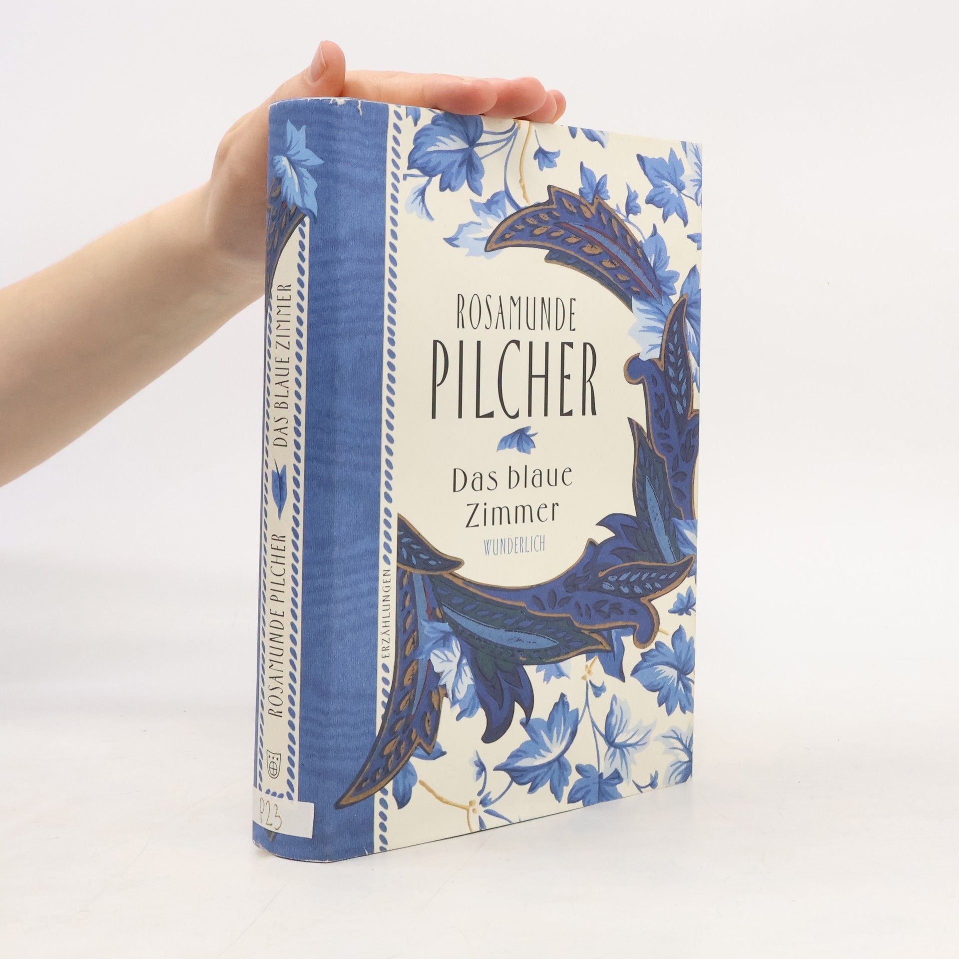 Rosamunde Pilcher Das blaue Zimmer