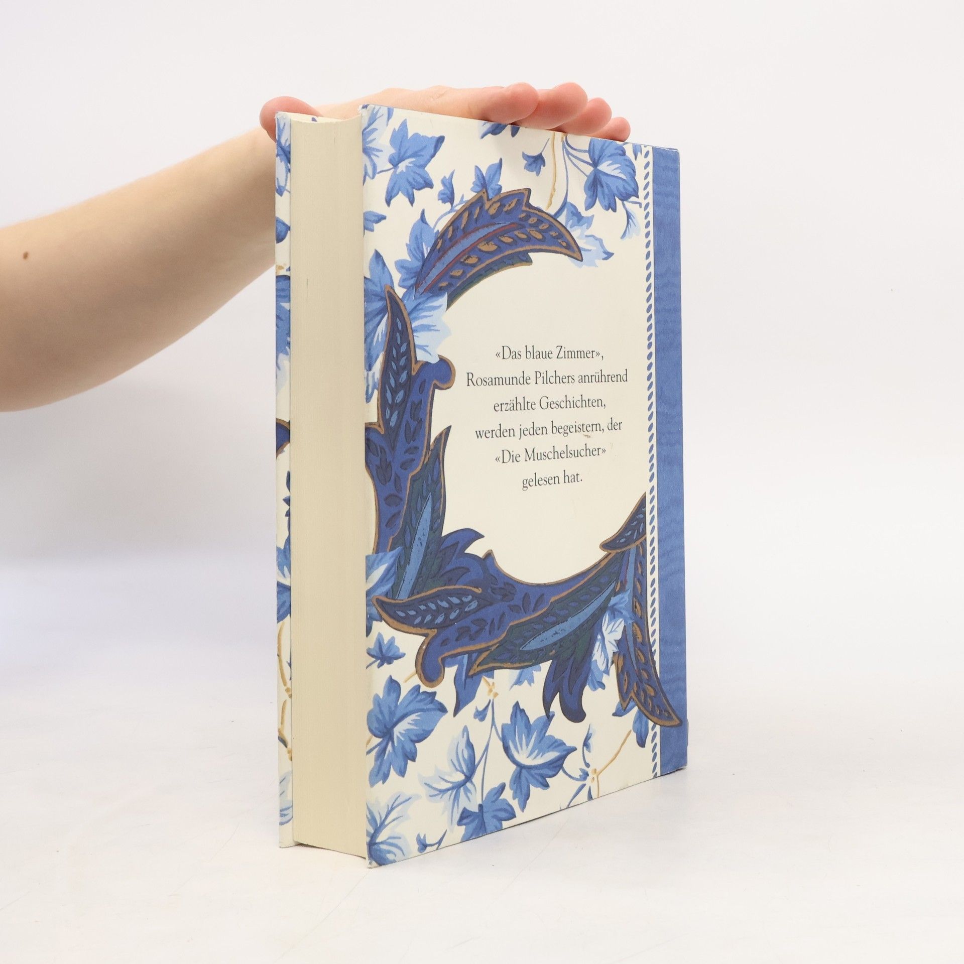 Rosamunde Pilcher Das blaue Zimmer
