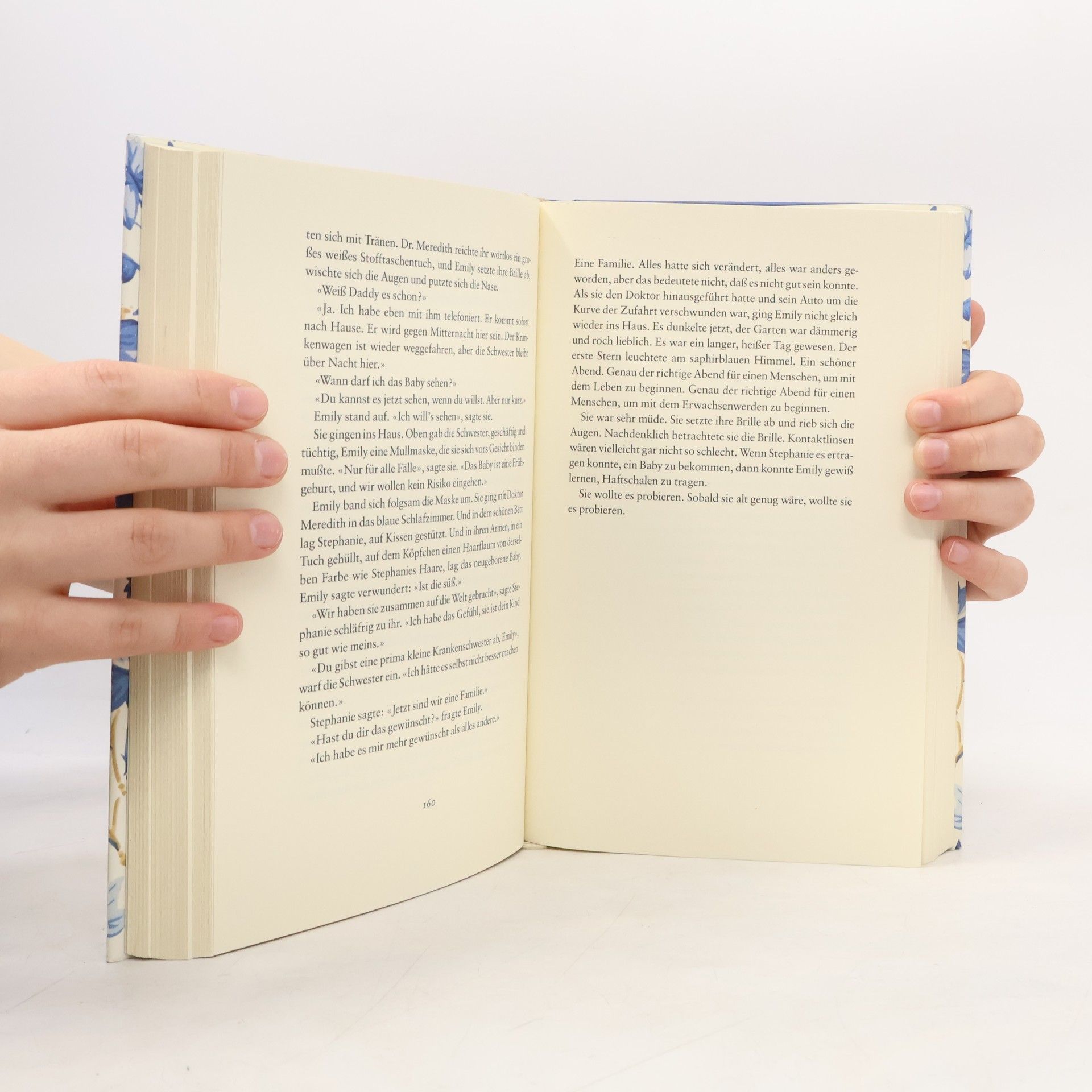 Rosamunde Pilcher Das blaue Zimmer