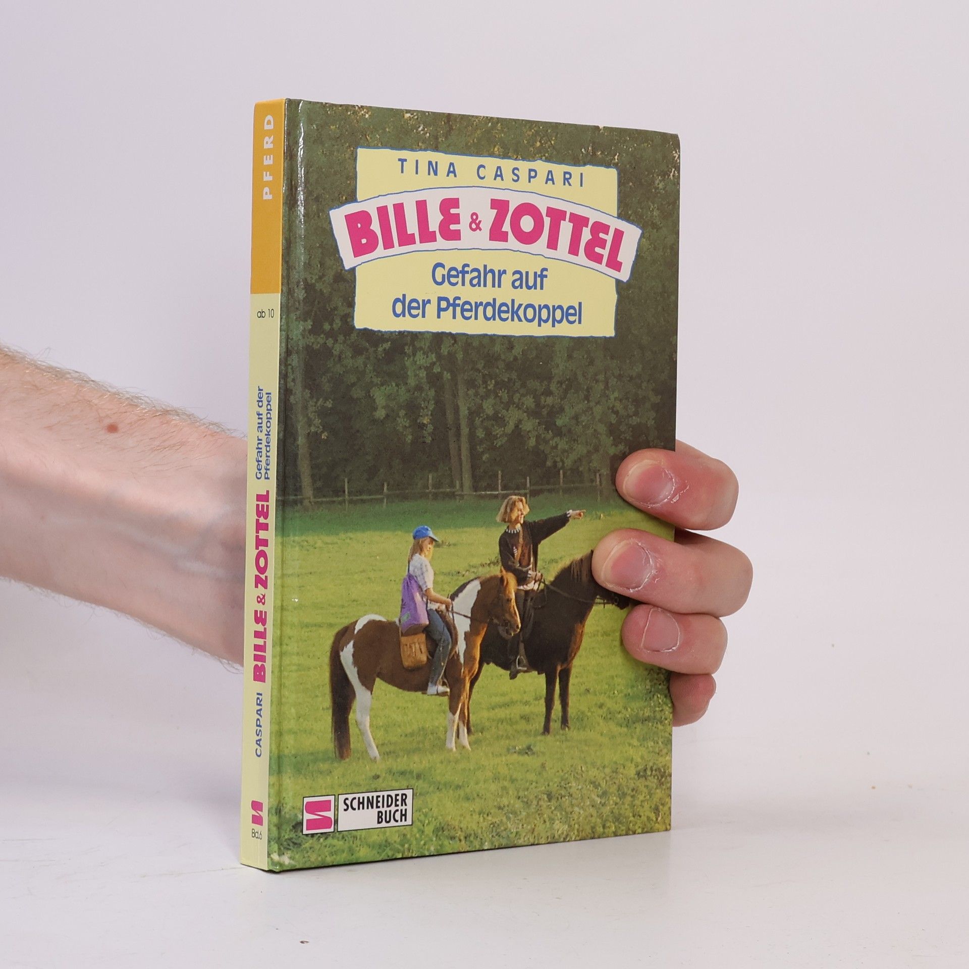 Tina Caspari Bille und Zottel Bd. 06. Gefahr auf der Pferdekoppel