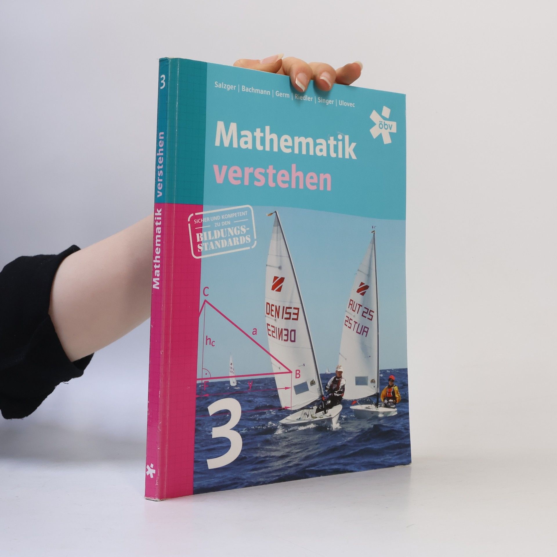 Bernhard Salzger Mathematik verstehen