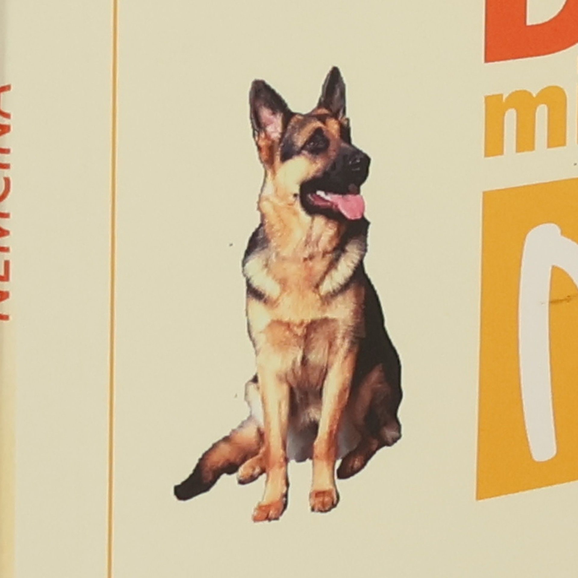 Milena Zbranková Němčina A1 : Deutsch mit Max pro základní školy a víceletá gymnázia