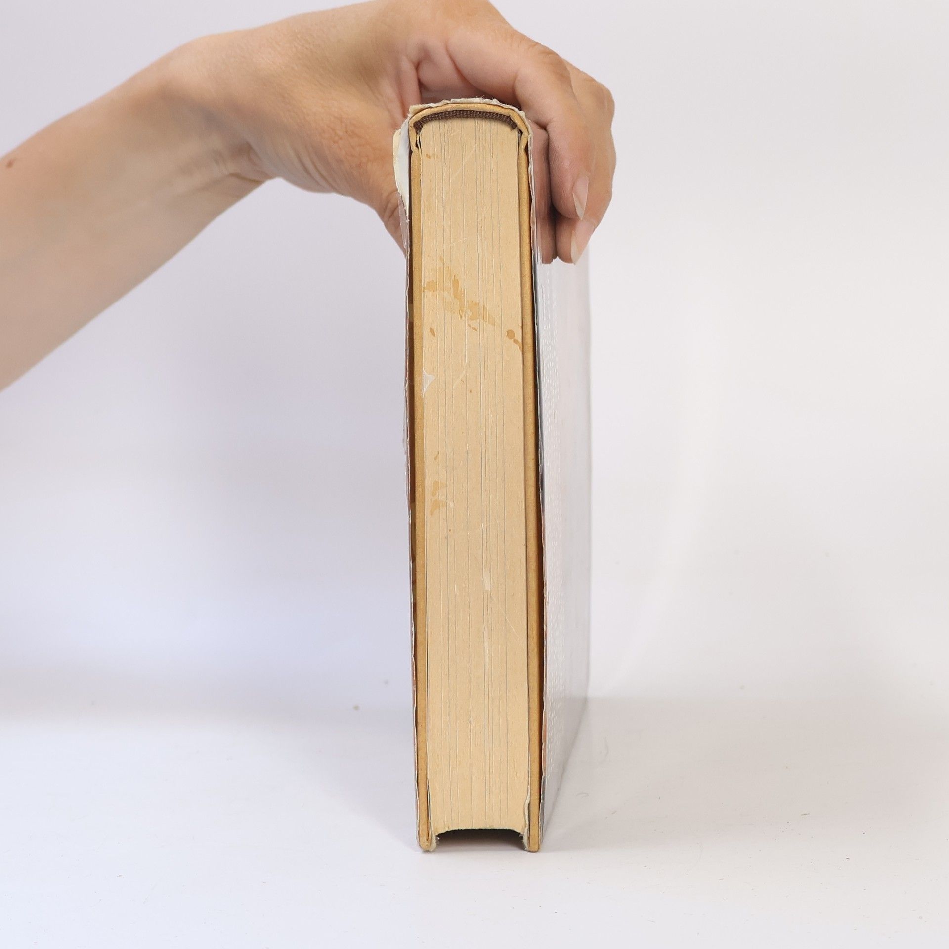Barbara Rütting Mein Kochbuch