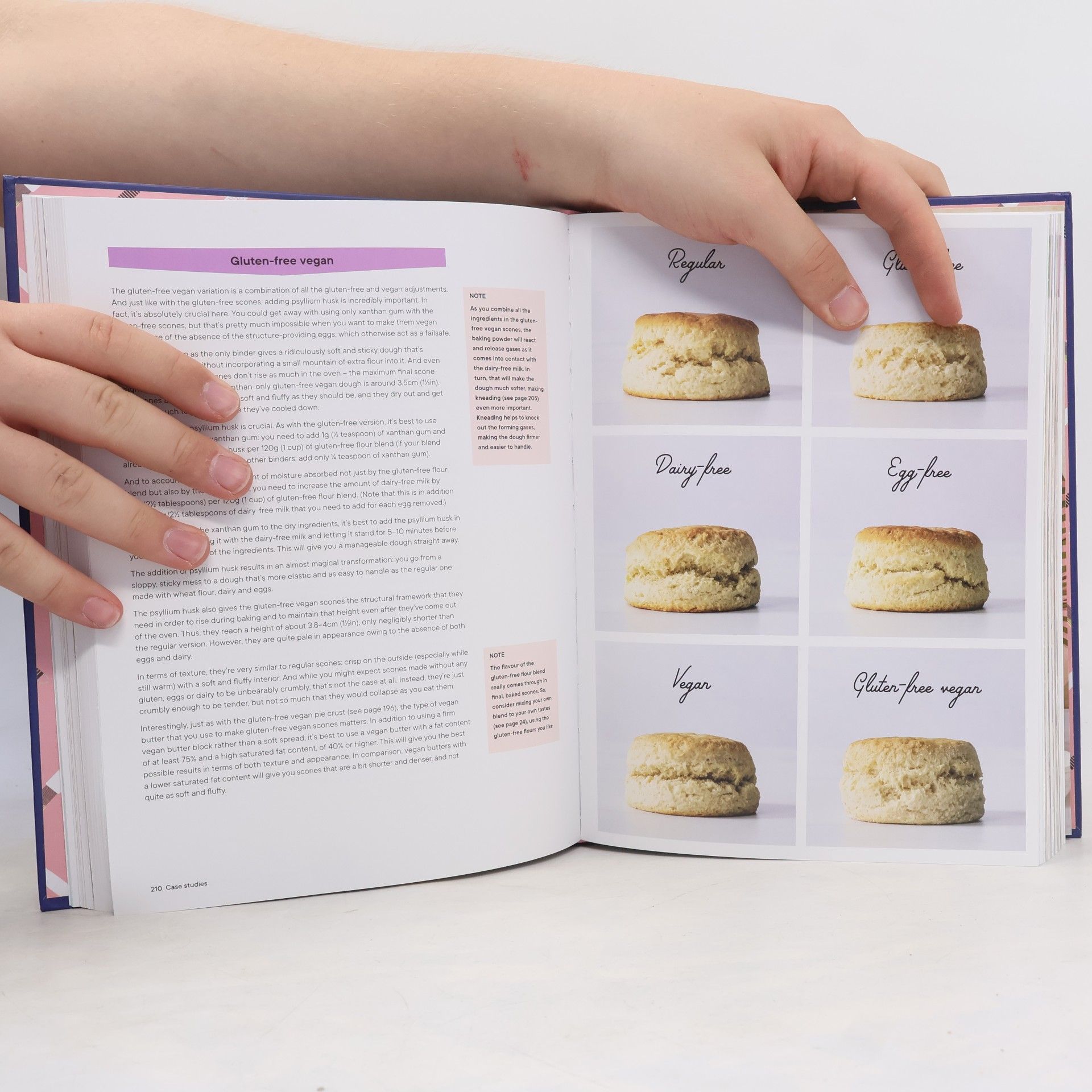 Katarina Cermelj The Elements of Baking